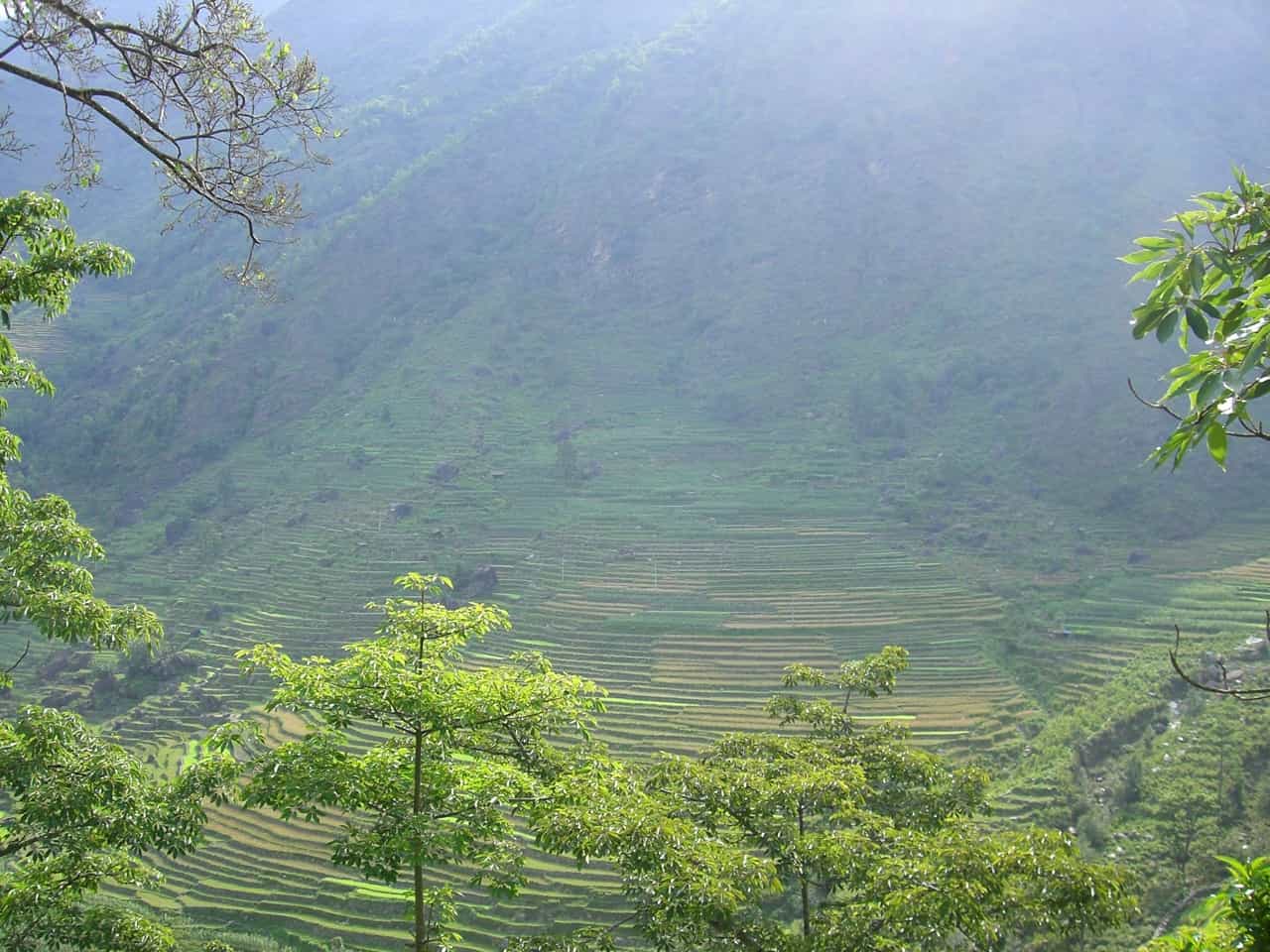 Panggom, Nepal. Photo: Host/Freedom Adventures