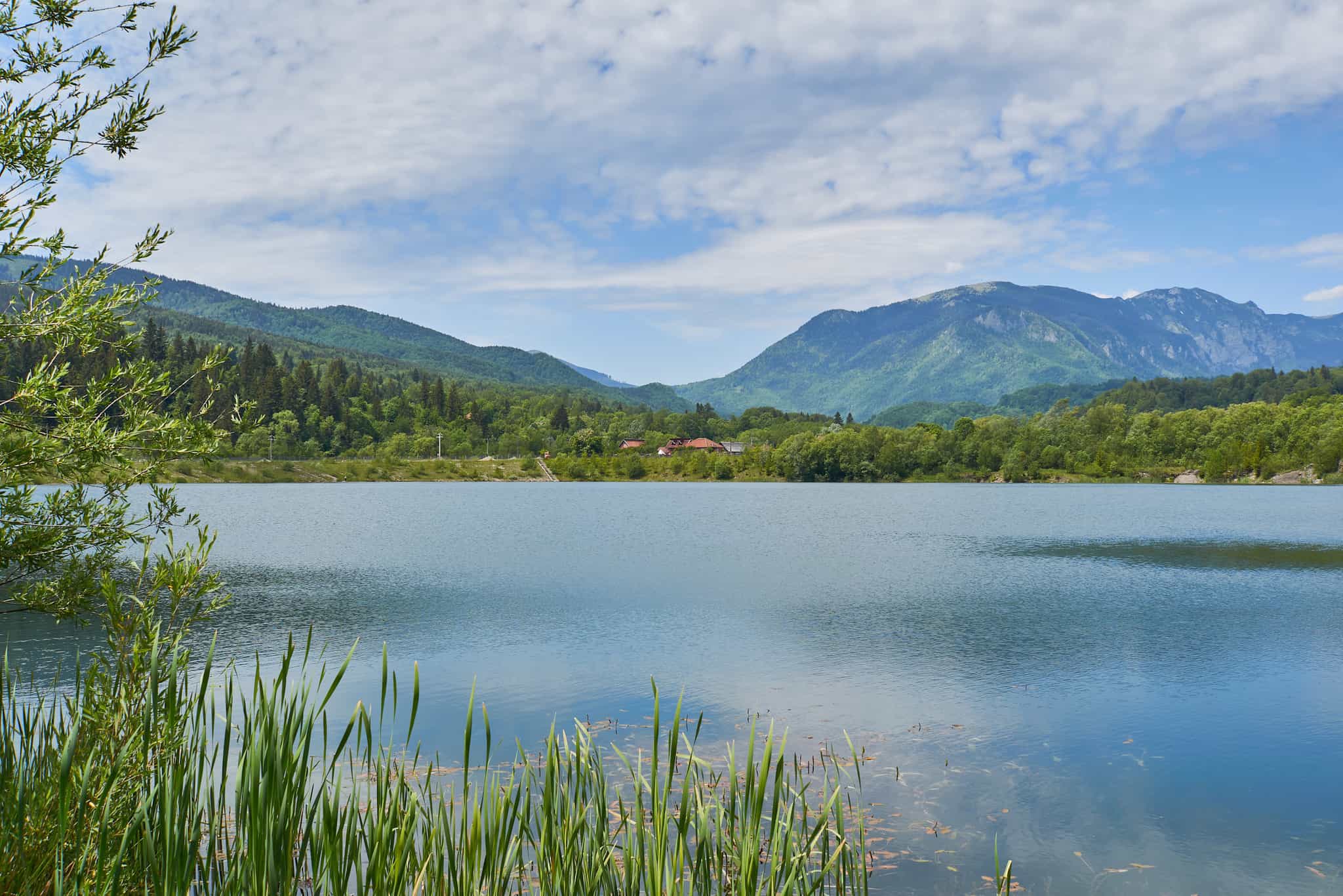 Views of the landscape from Campu lui Neag in Romania.