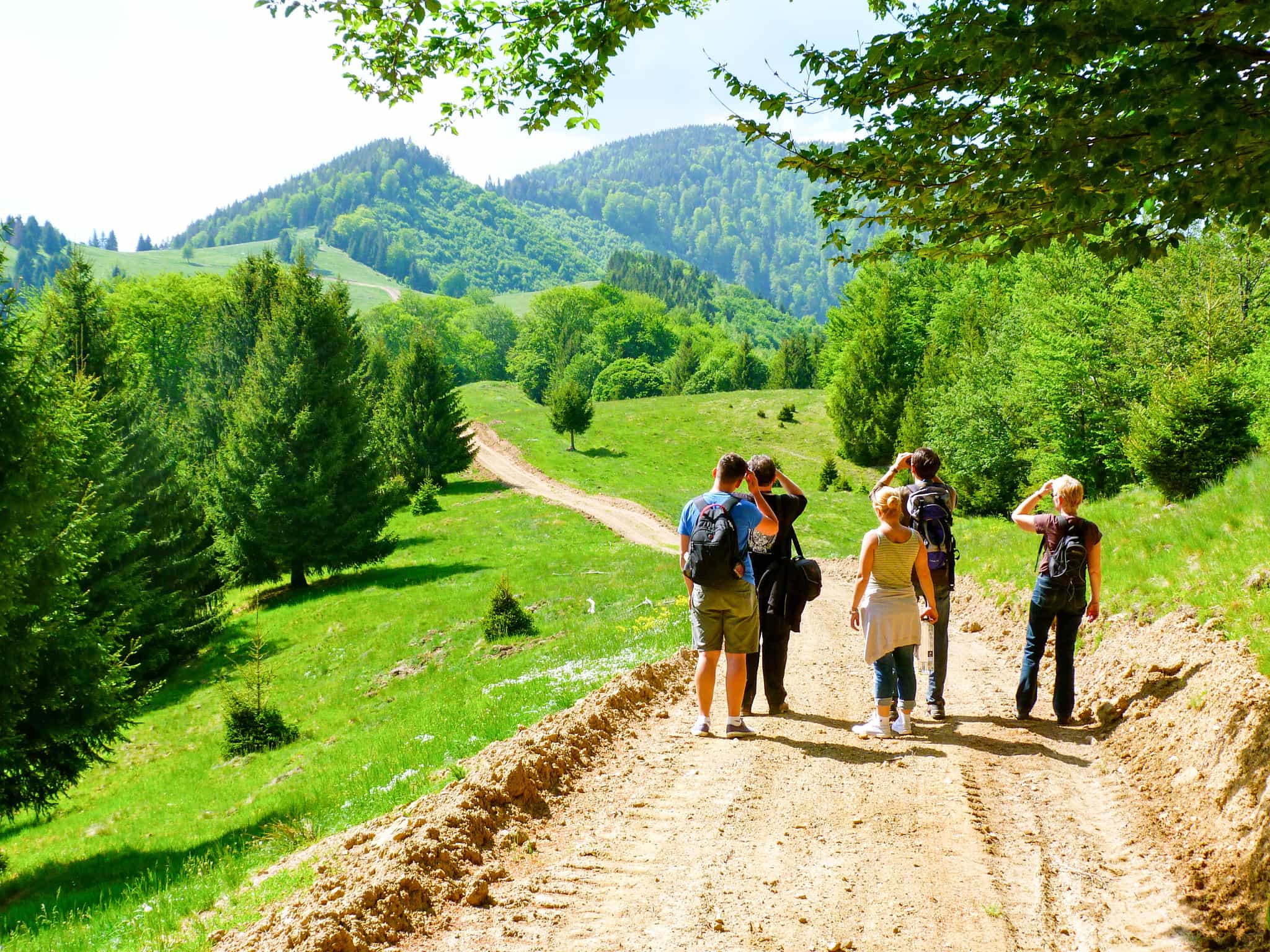 Bear Watching and Castle Hopping in Romania