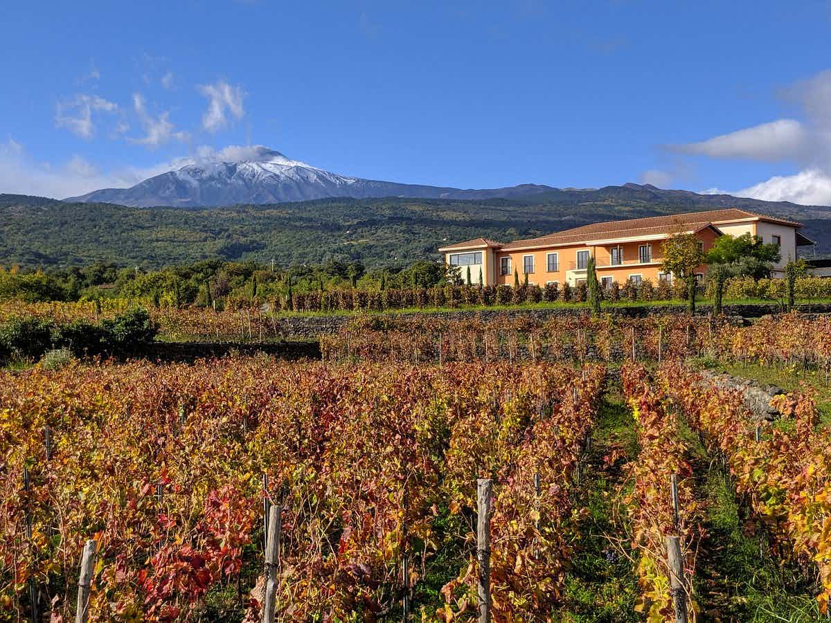 VIVERA winery, north Etna, Sicily. Photo: VIVERA Winery