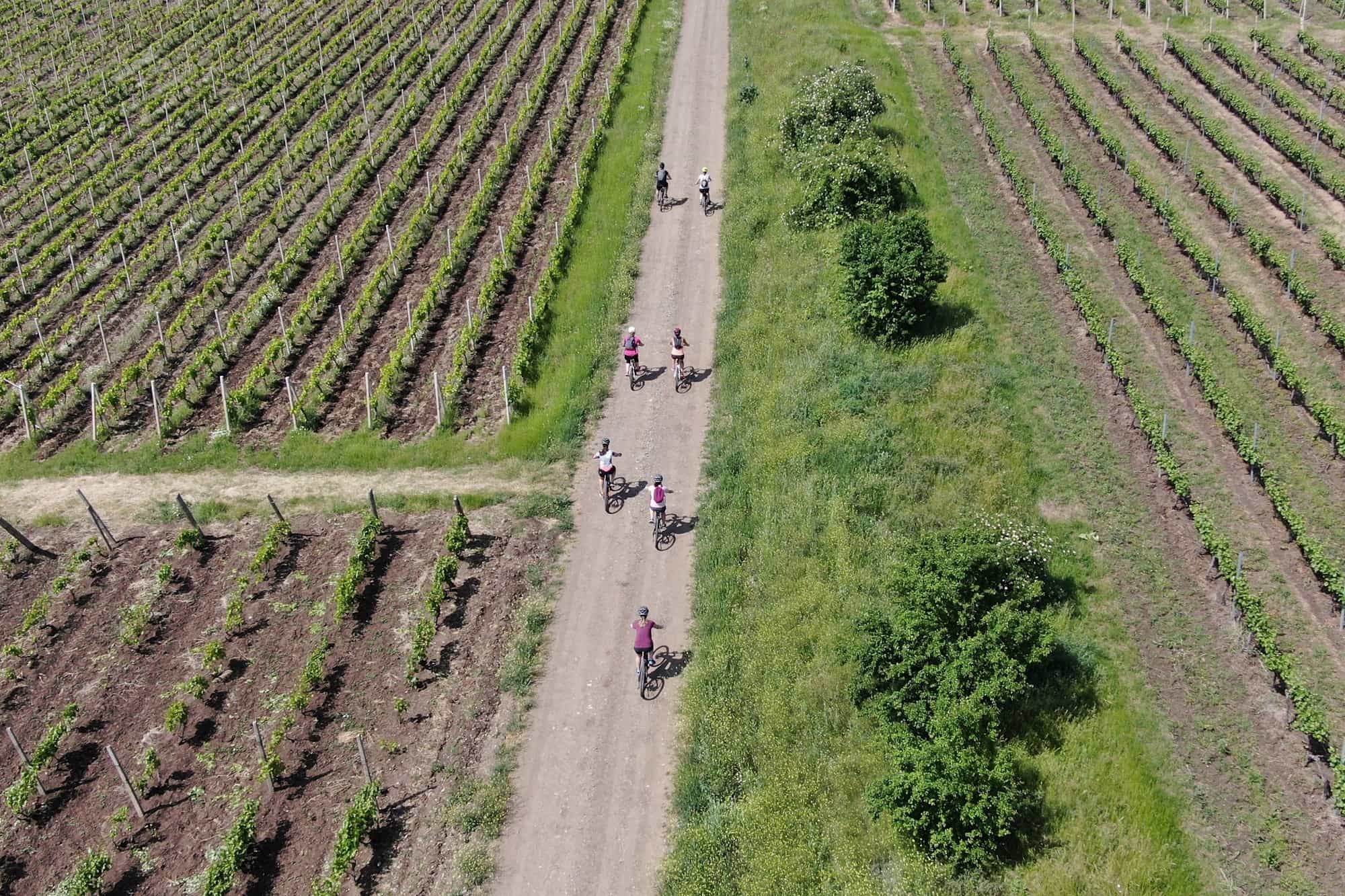 Cycling through farmland in rural Transylvania, Romania