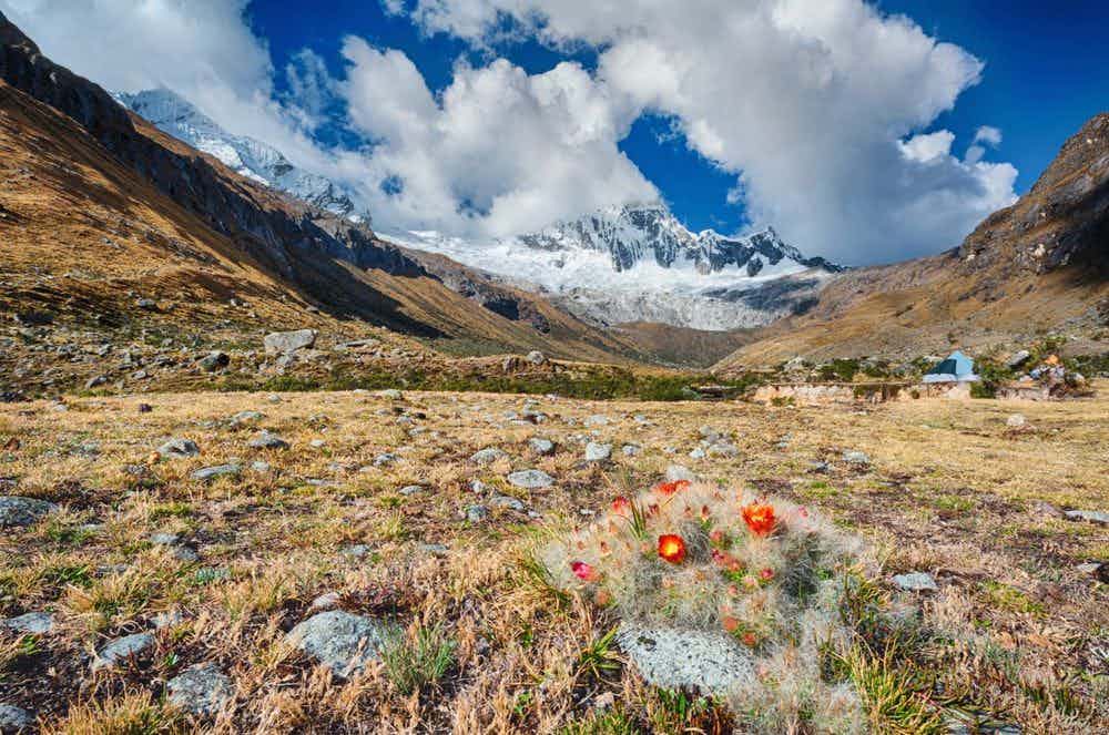 5 Multi-Day Treks in Peru That Aren't the Inca Trail
