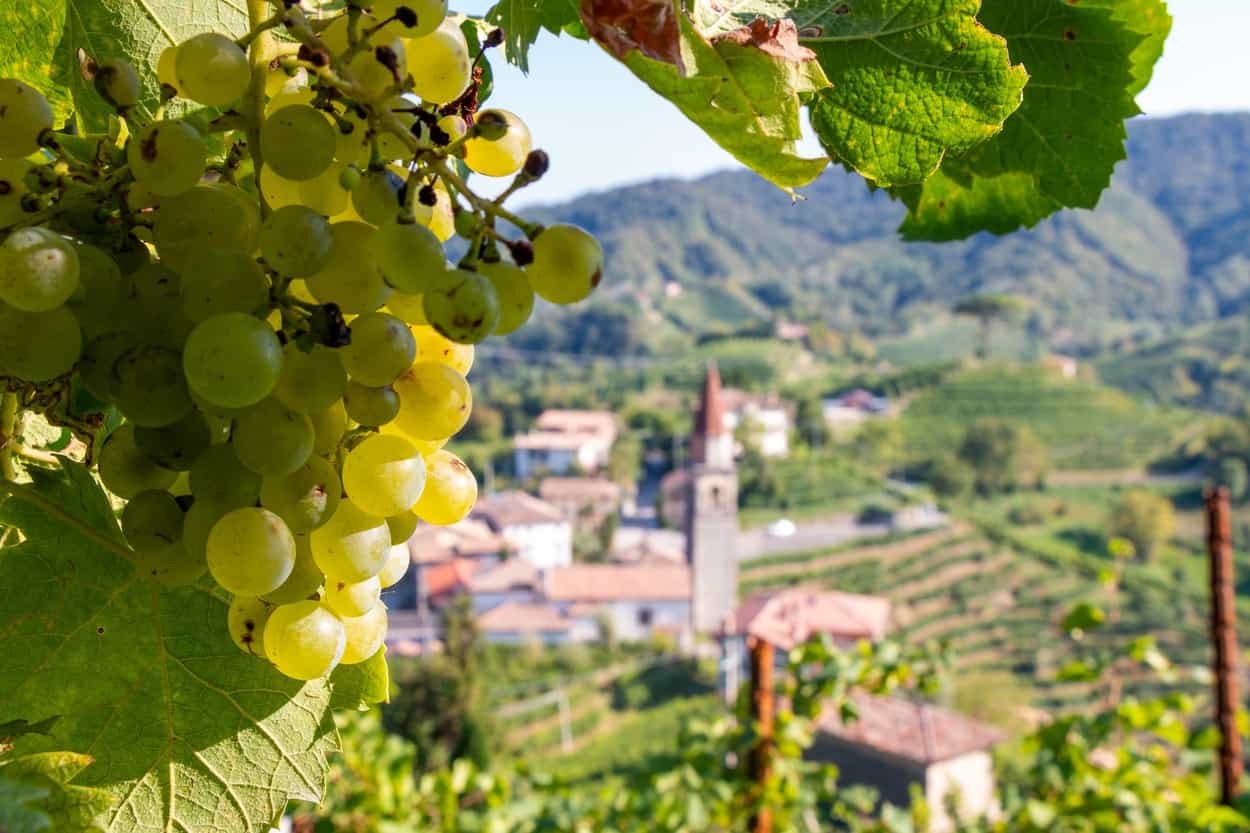 Local village in the Prosecco Hills: