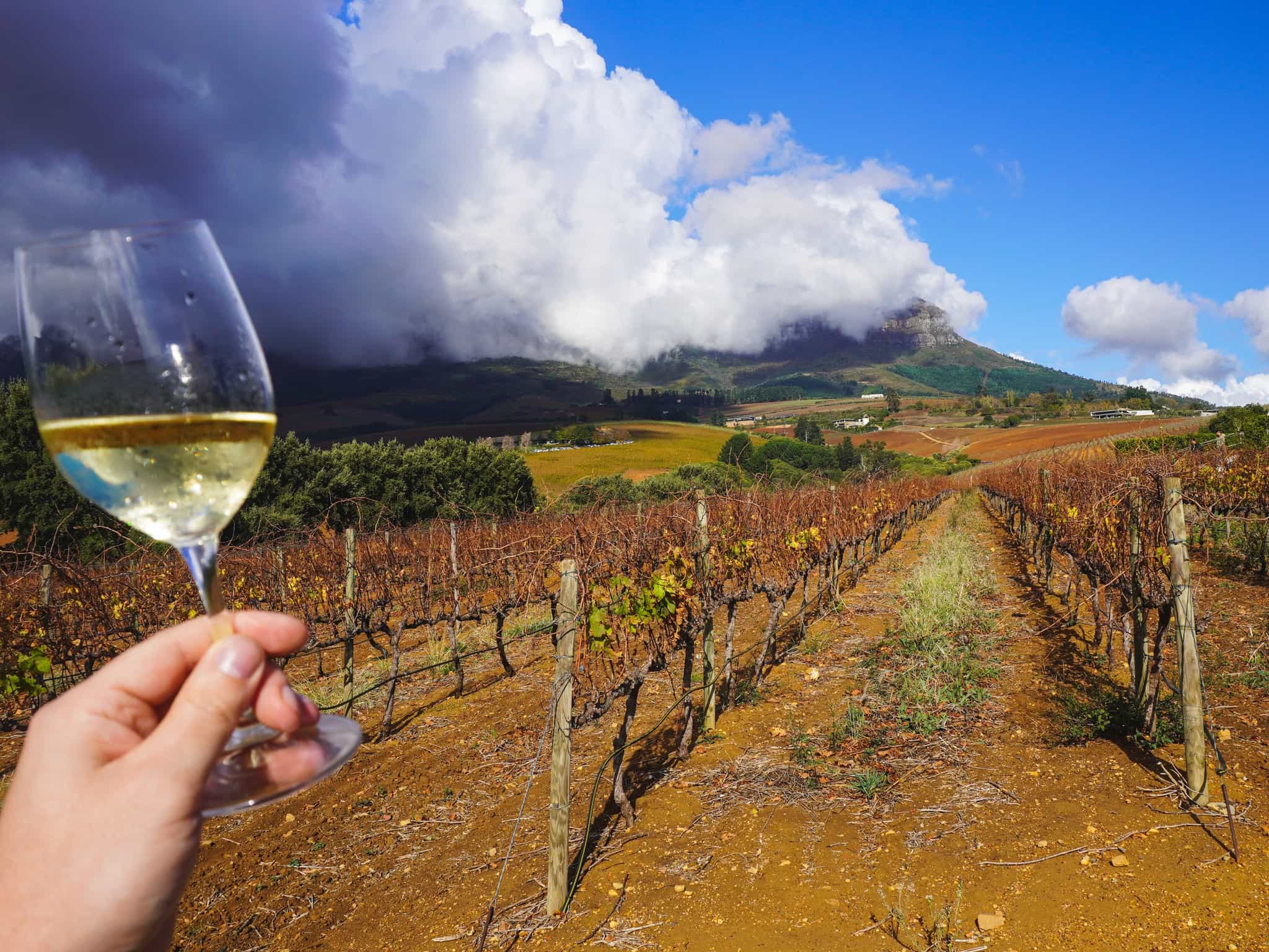 Franschhoek’s vineyards, South Africa.