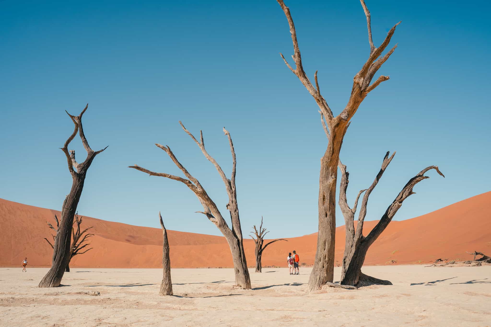 Hiking in Deadvlei, Sossusvlei, Namibia.