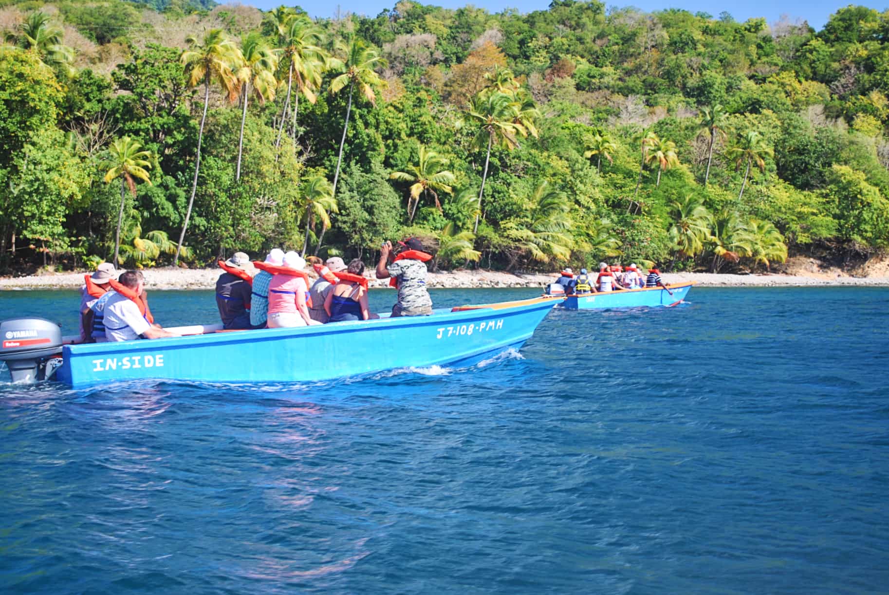 Dominica, Waitukubuli national trail, segment 14
Host image: Jungle Trekking & Safaris Dominica