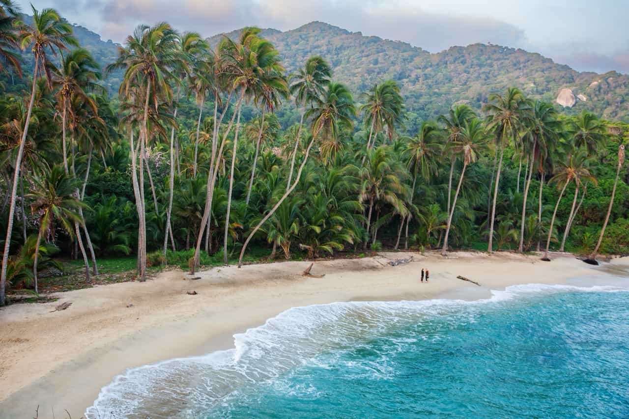 Lush and green stretch of coast near Tayrona, Colombia.