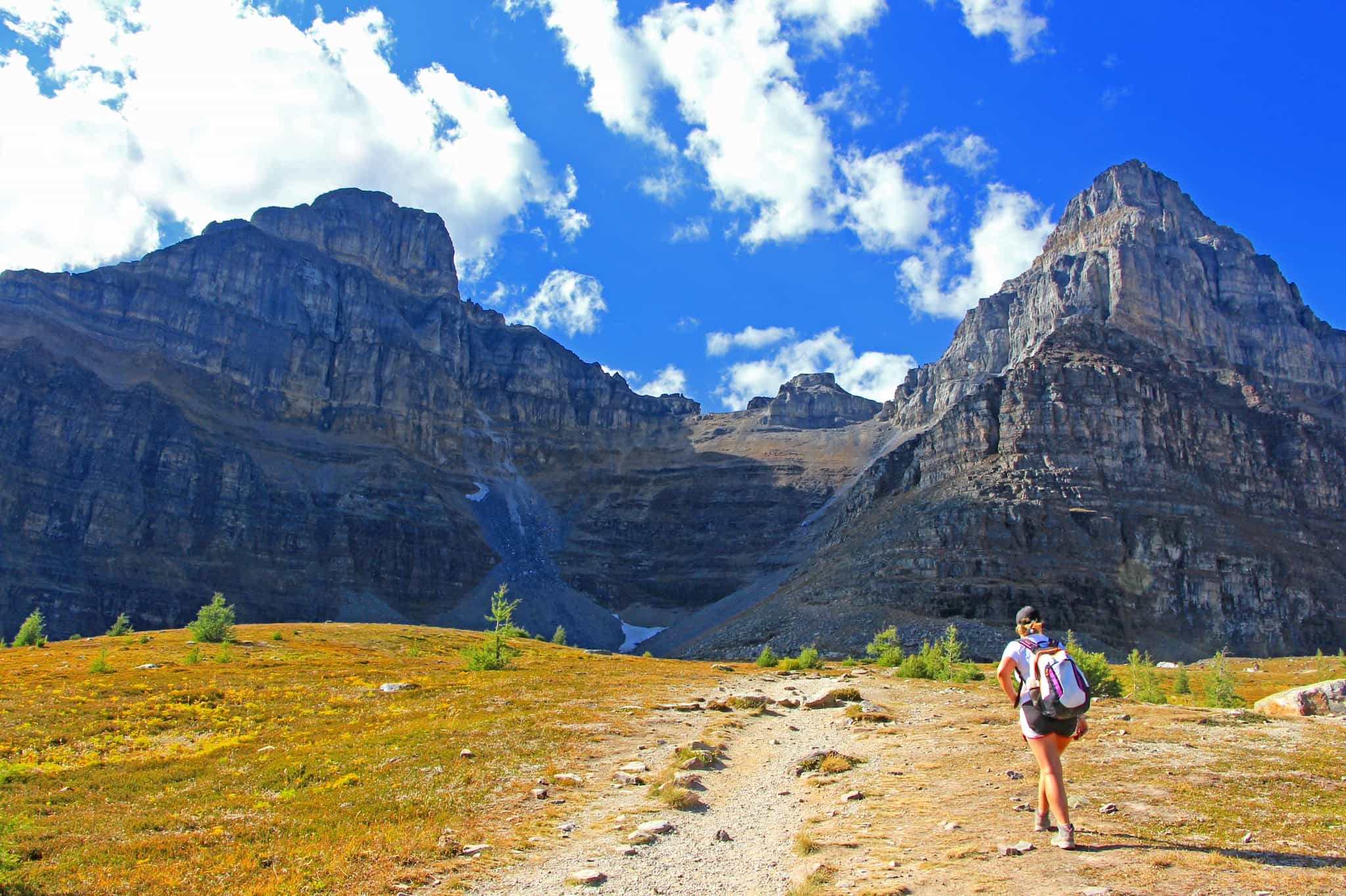 Wilcox Pass, Jasper, Canada.