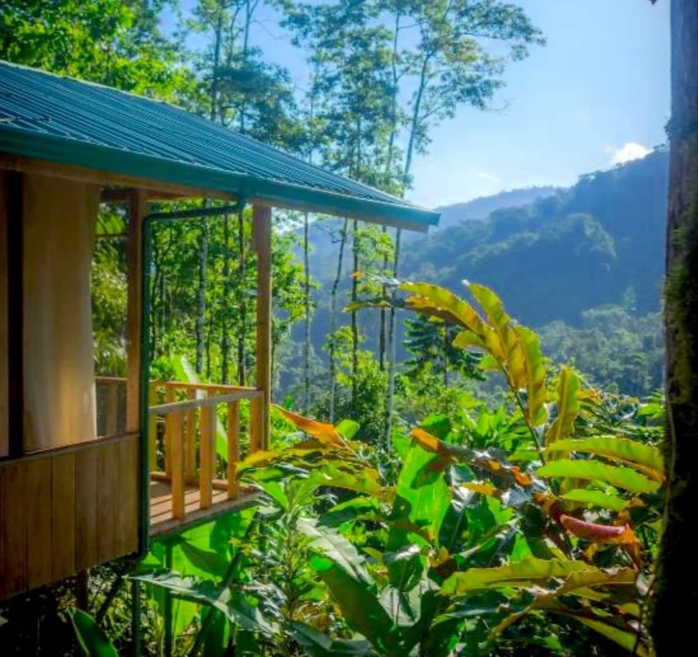 Eco-lodge cabin overlooking jungle foliage in Costa Rica