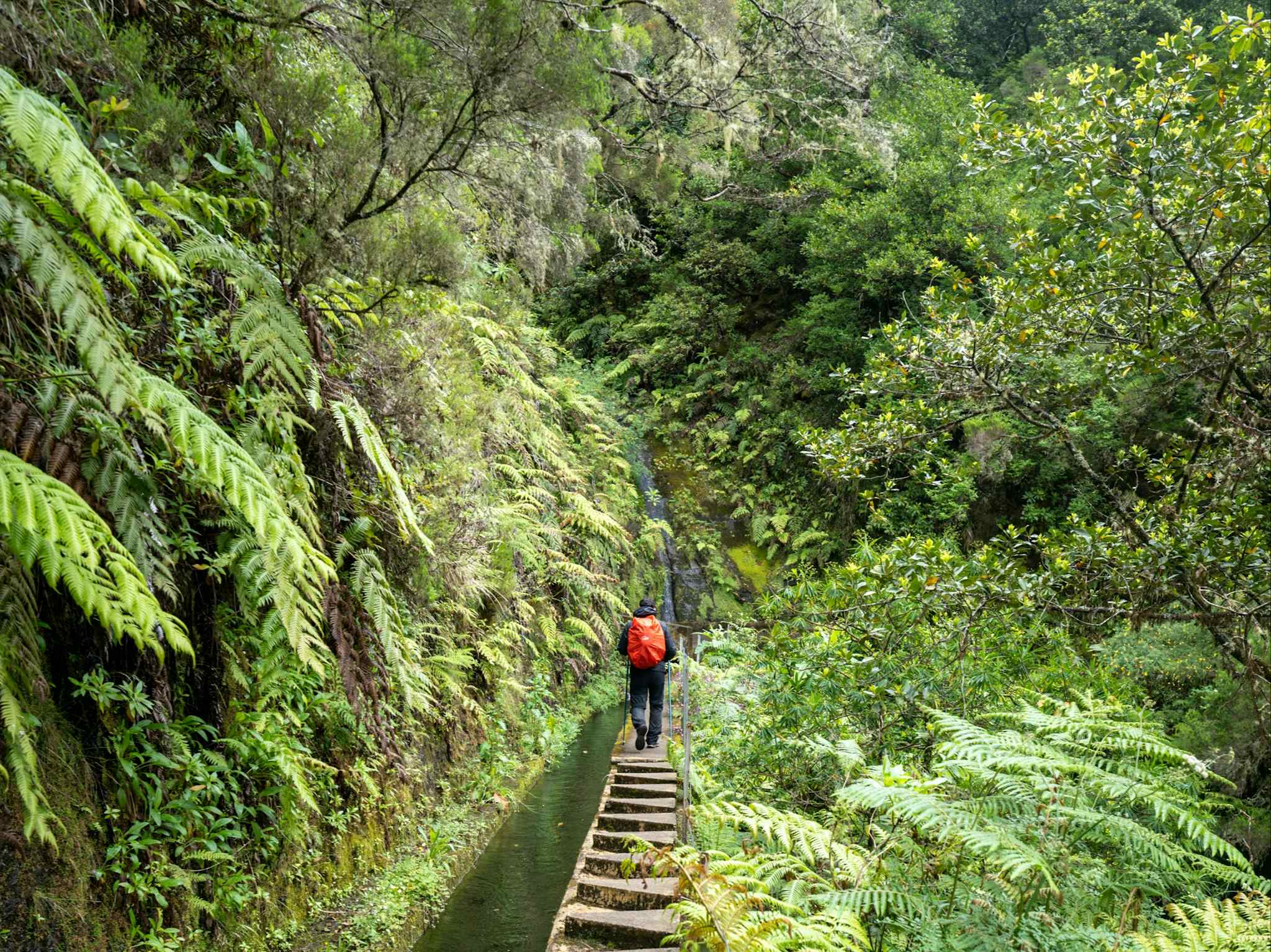 Hiking the PR17, Madeira. Photo: Host/Madeira Mountain Tours