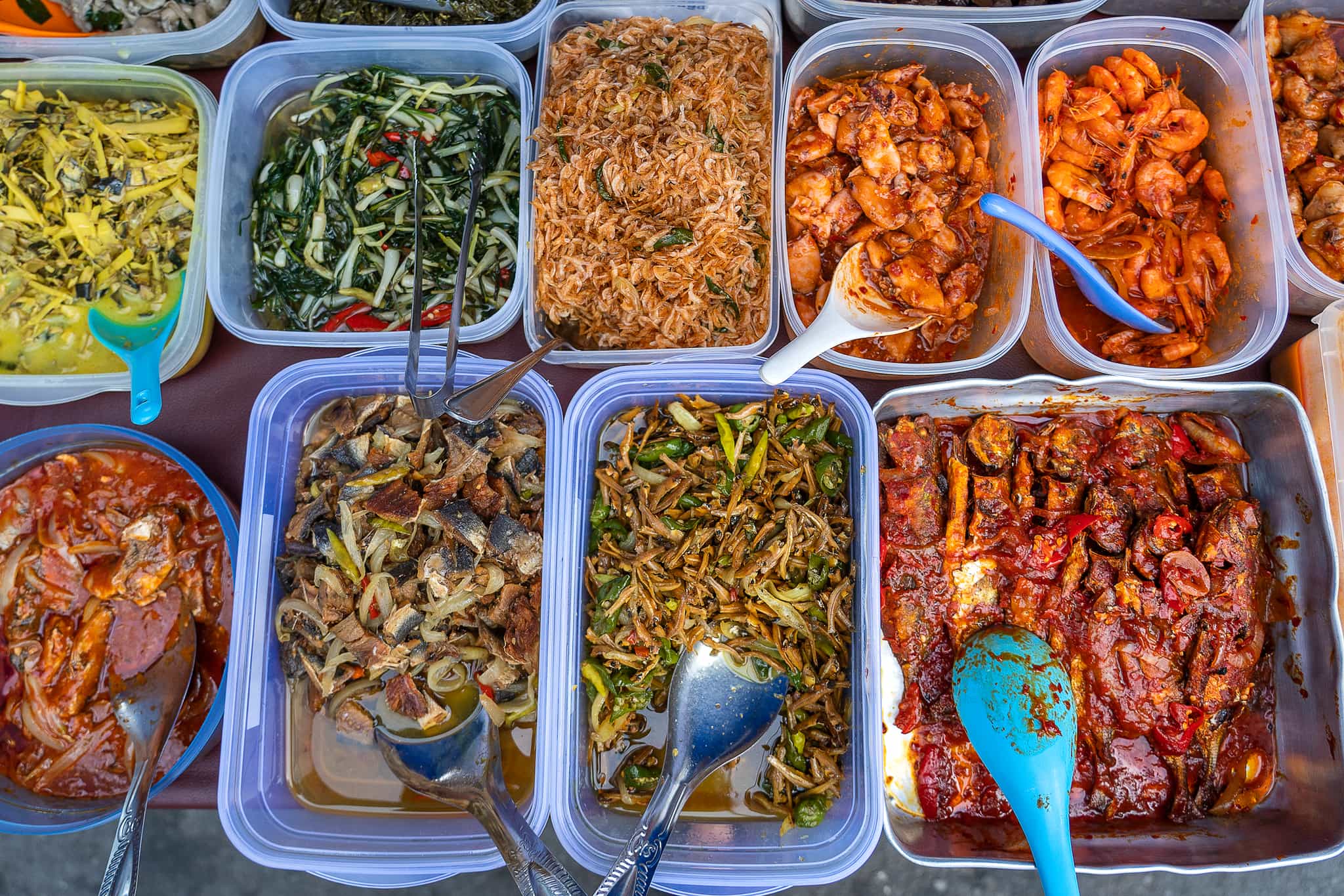 Malaysian feast, Wildlife Adventure in the Jungles of Borneo