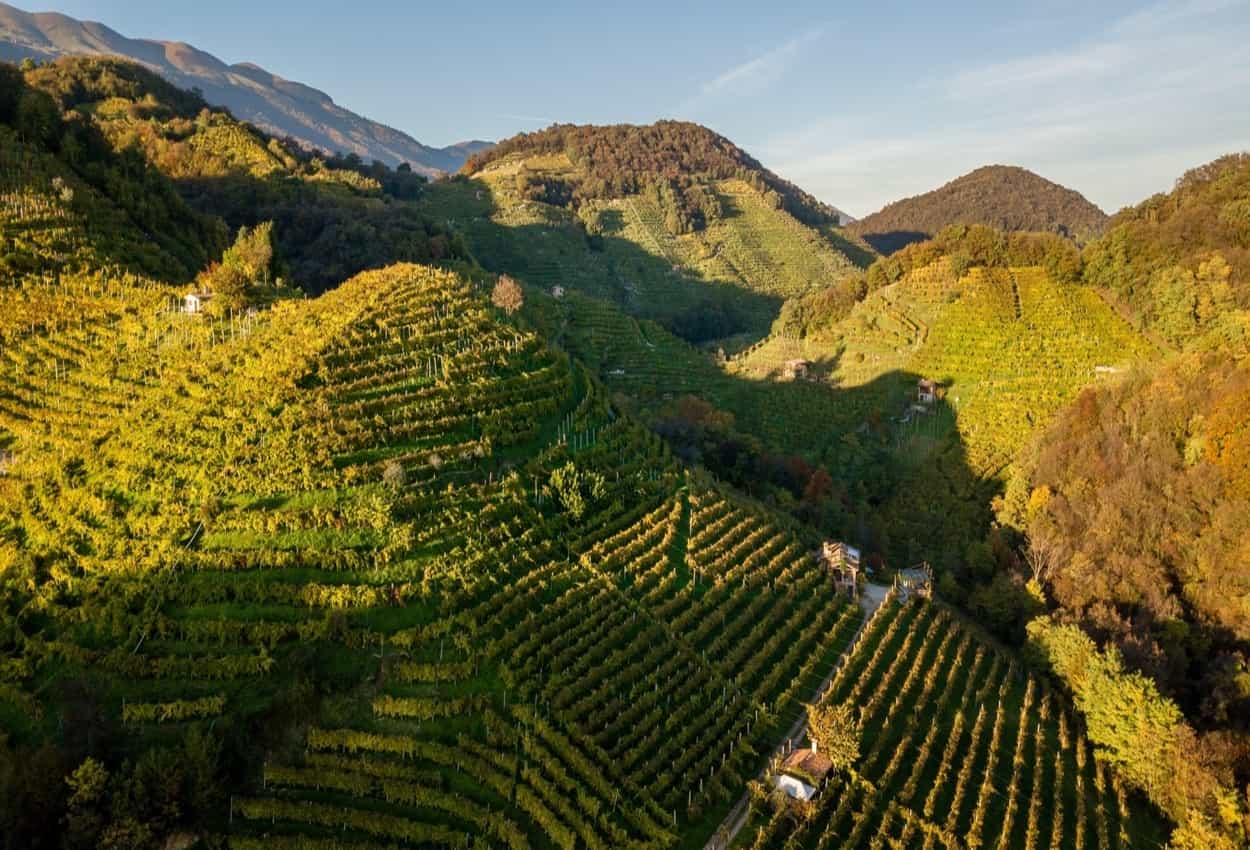 Prosecco Hills, Veneto.