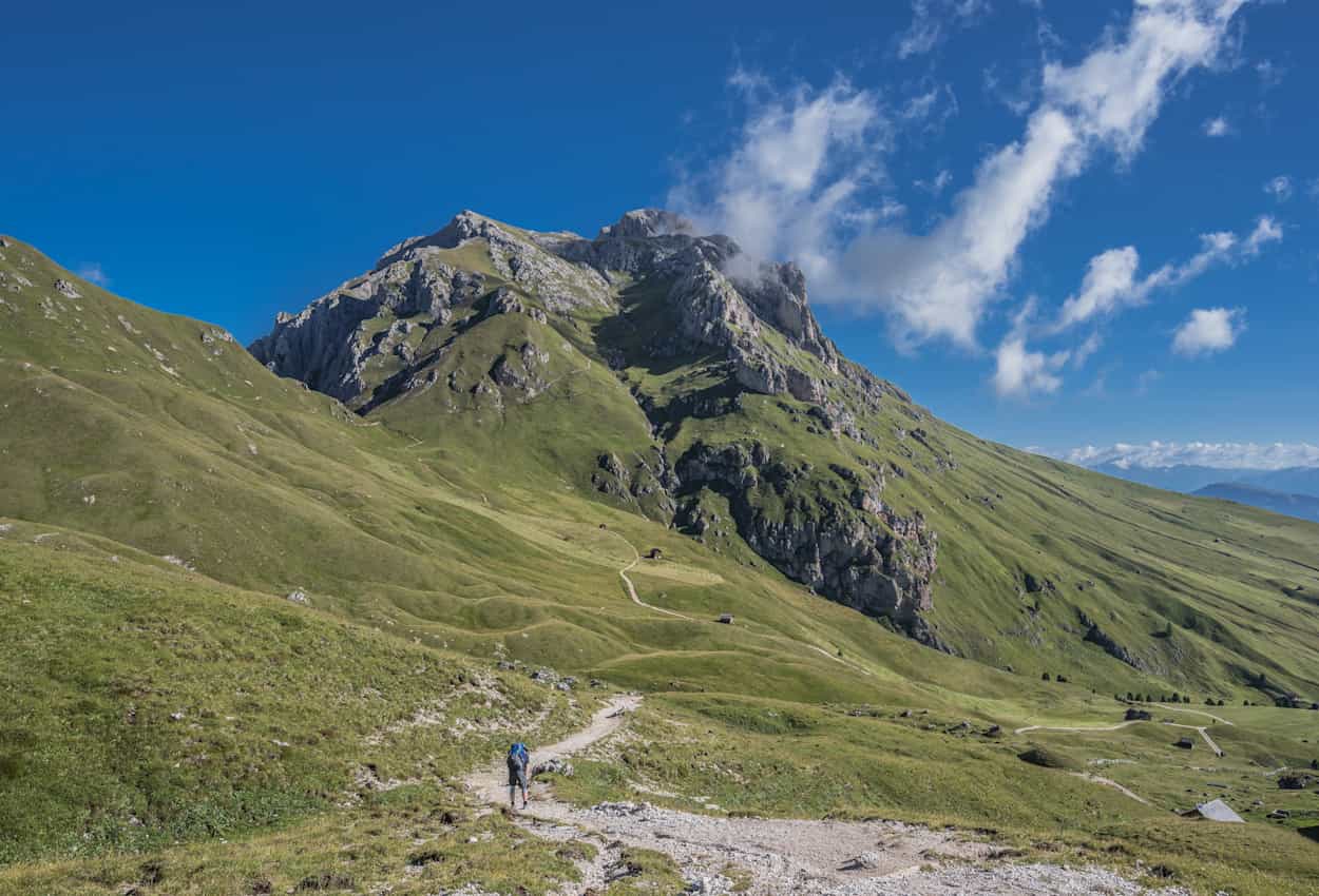 High altitude grassland near Rifugio Genova, Dolomites