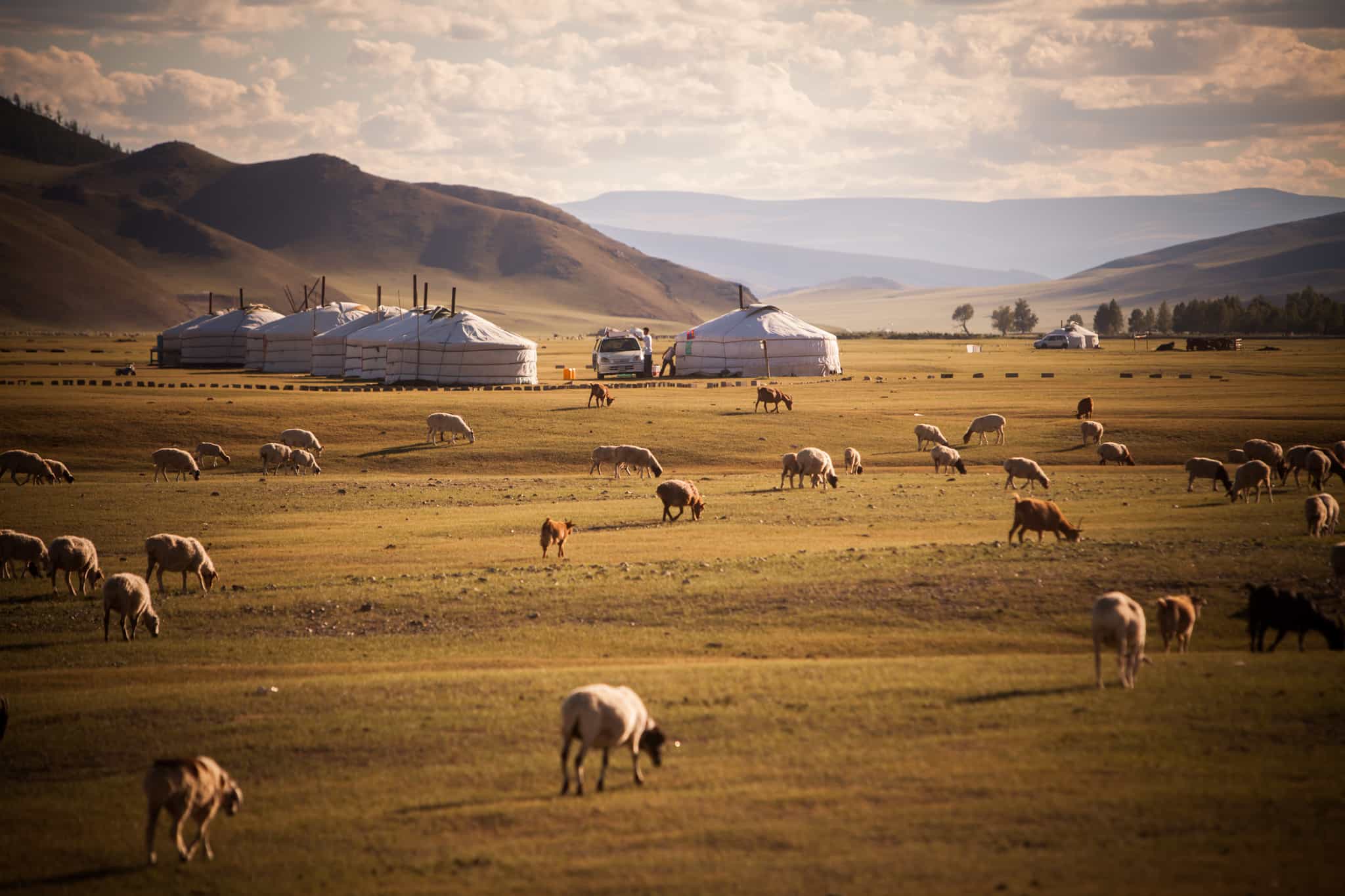 Yurts, Mongolia. Photo: GettyImages-914835540
