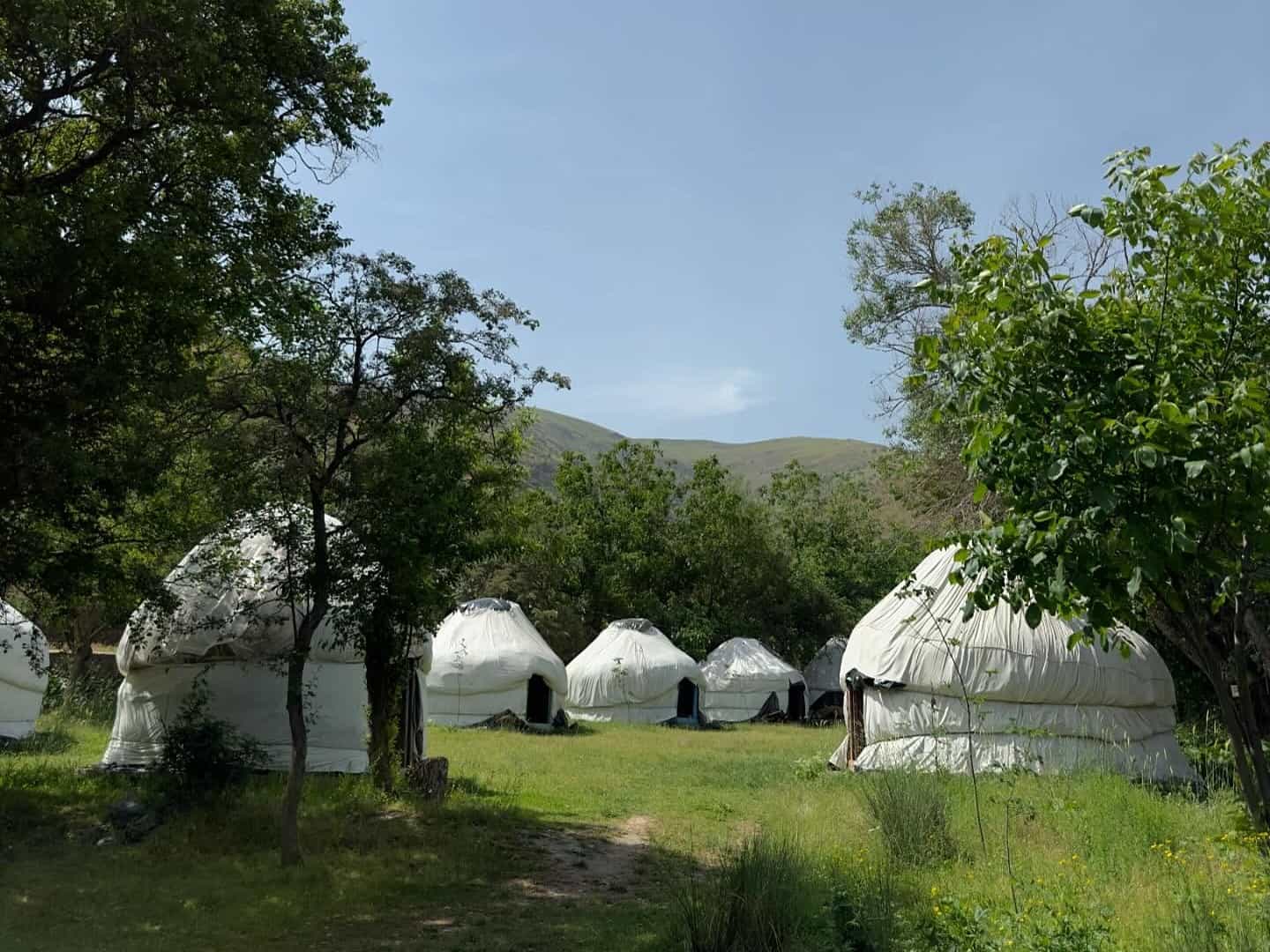 Yurts at Seyyod Camp in the Nuratau Mountains, Uzbekistan.