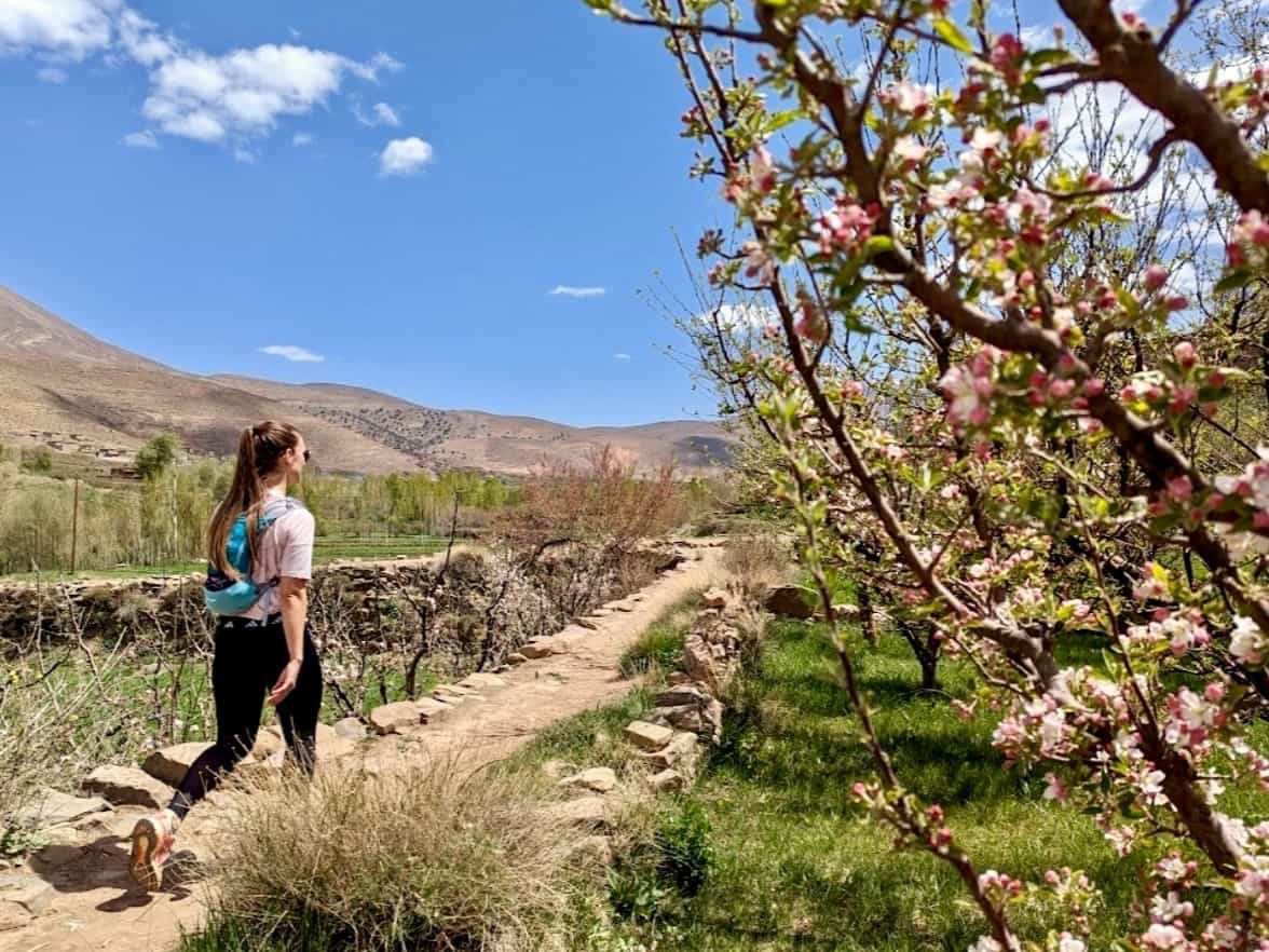 Woman hiking across a valley in Atlas Mountains, Morocco
