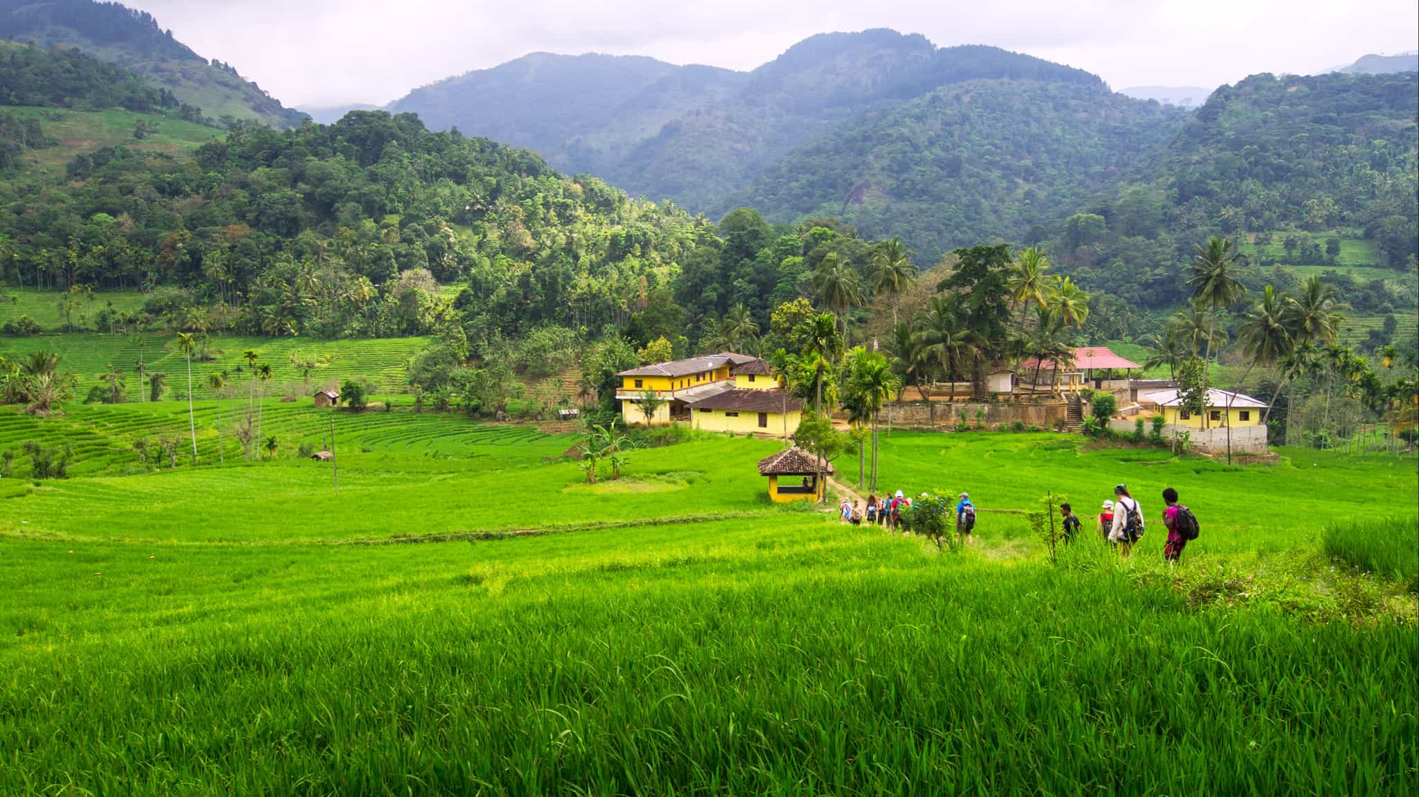 Hiking in Sri Lanka