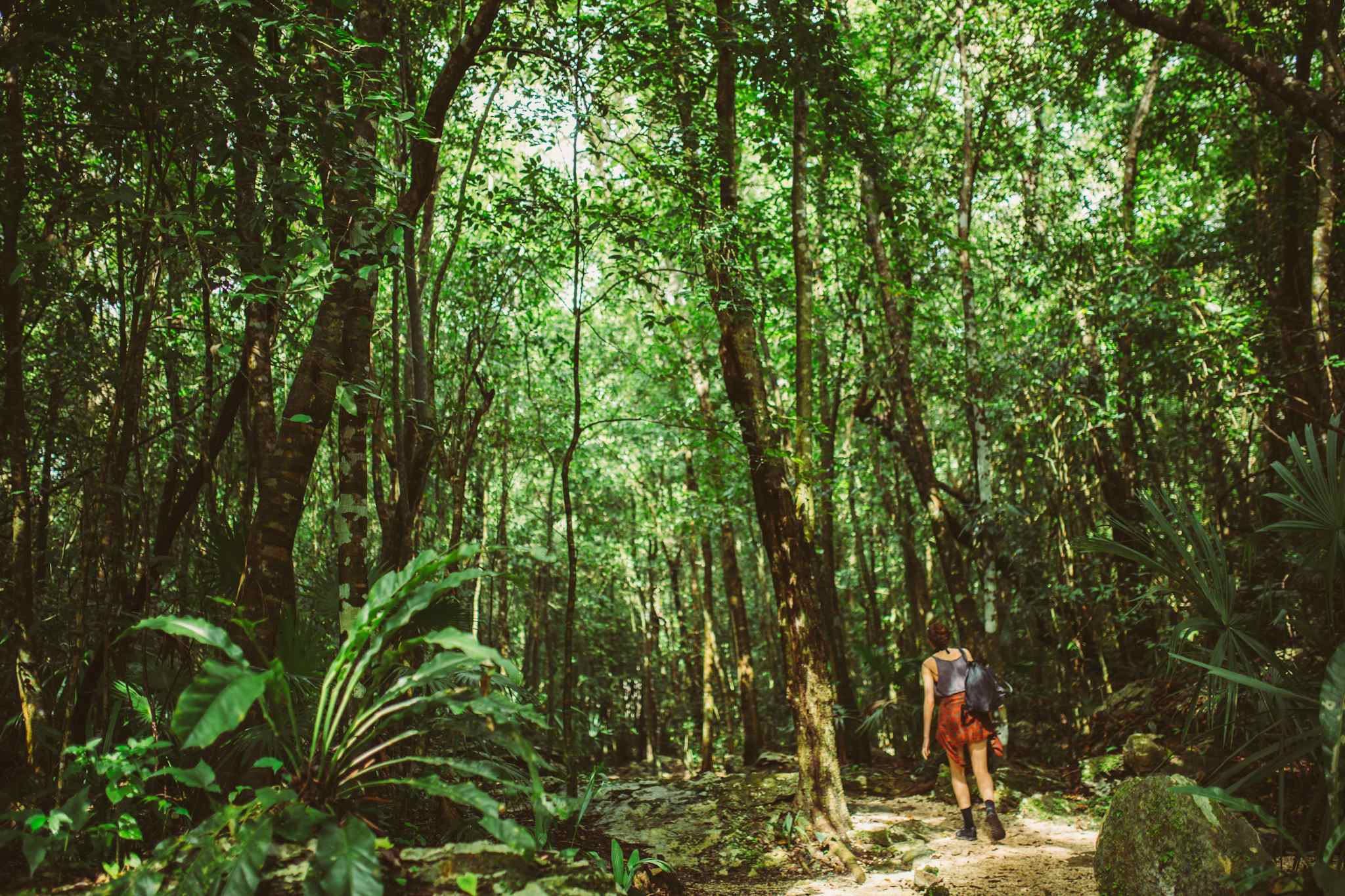 Hiker on a jungle trail in Sian Ka'an Biosphere Reserve, Yucatan. 