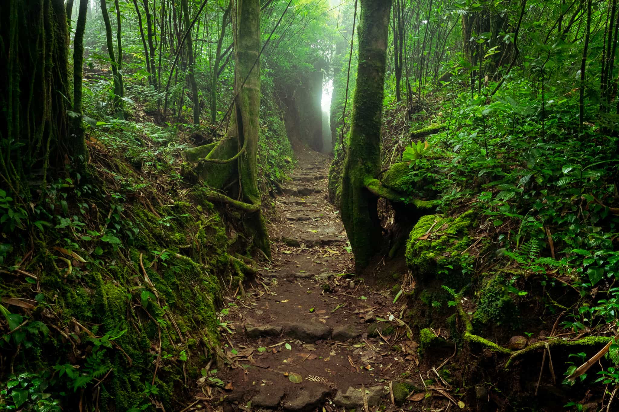 Mombacho Volcano, Nicaragua (c) Vapues Travel