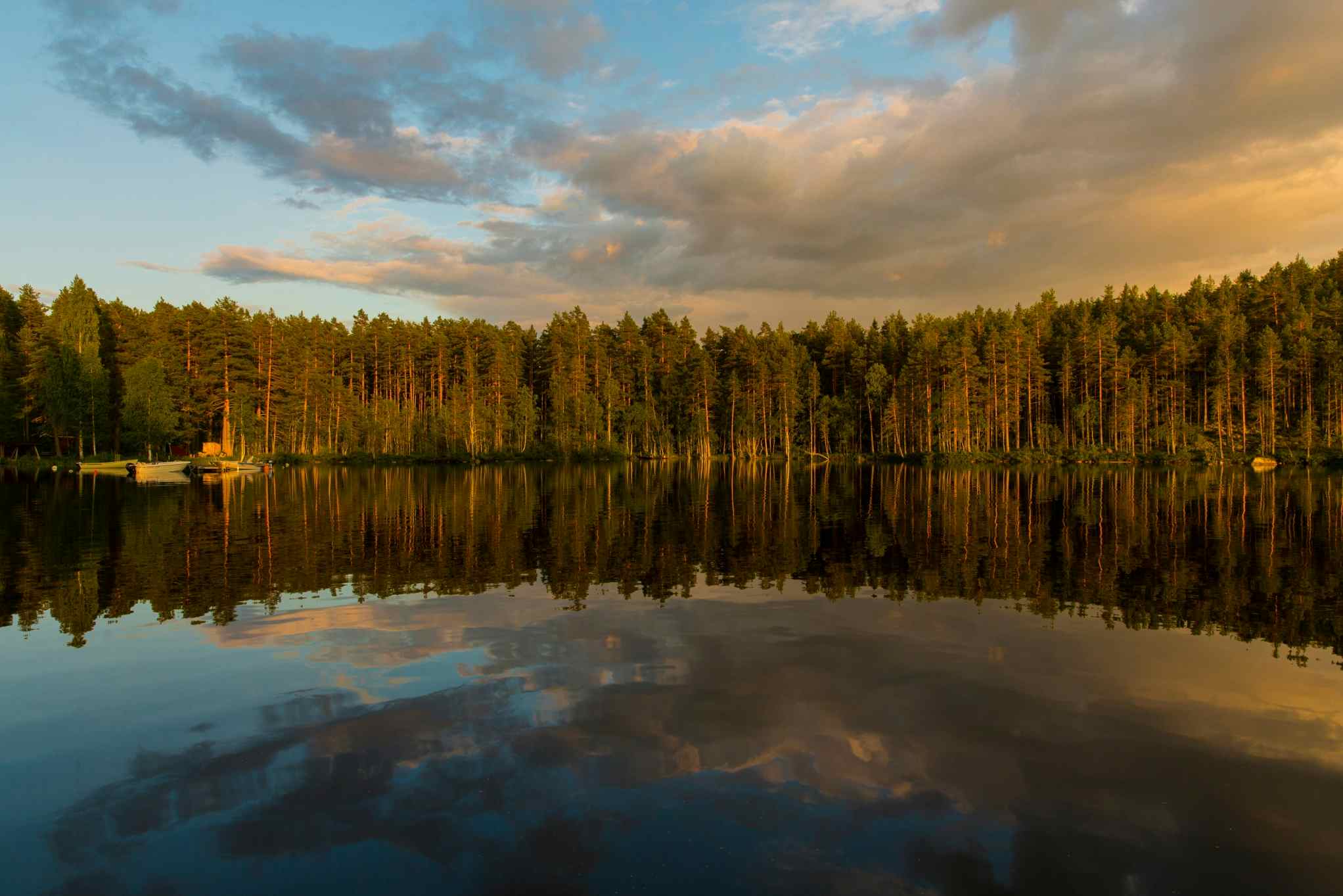 Sunrise over the lake, Sweden. Photo: Marcus Westberg
