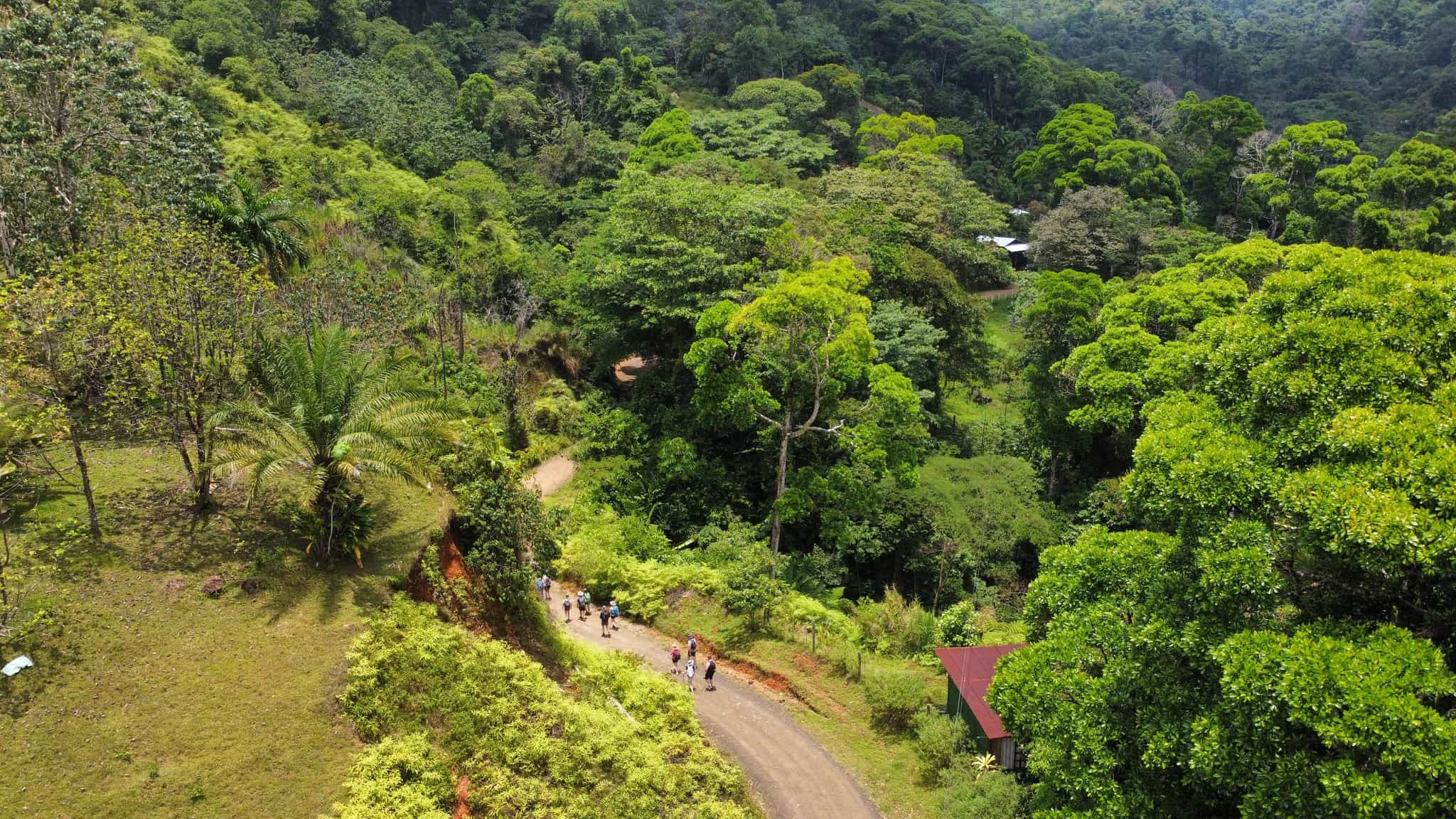 Camino de Costa Rica. Trekking to Community Camp Naranjillo