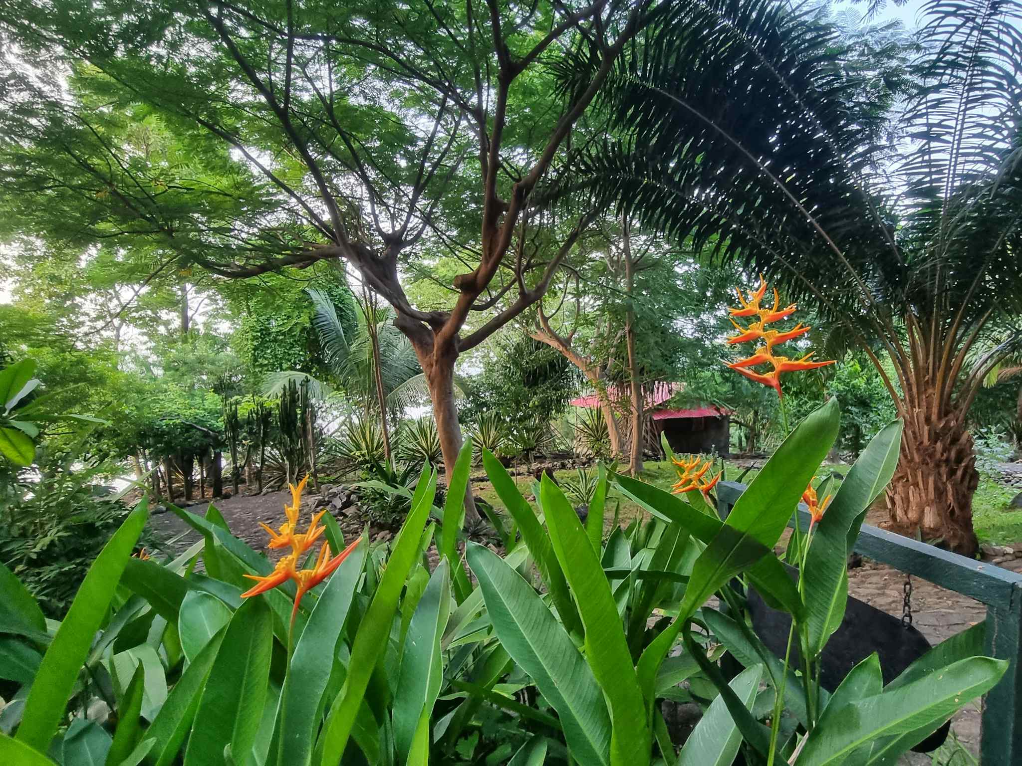 Garden at Mucumbli Lodge, Sao Tome. Photo: Marta Marinelli