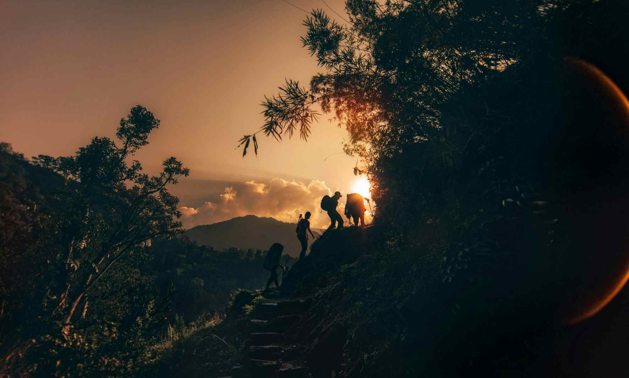 Hikers climbing up the steps through the jungle of Annapurna Range on Himalayas, Nepal. Photo: GettyImages-521430248
