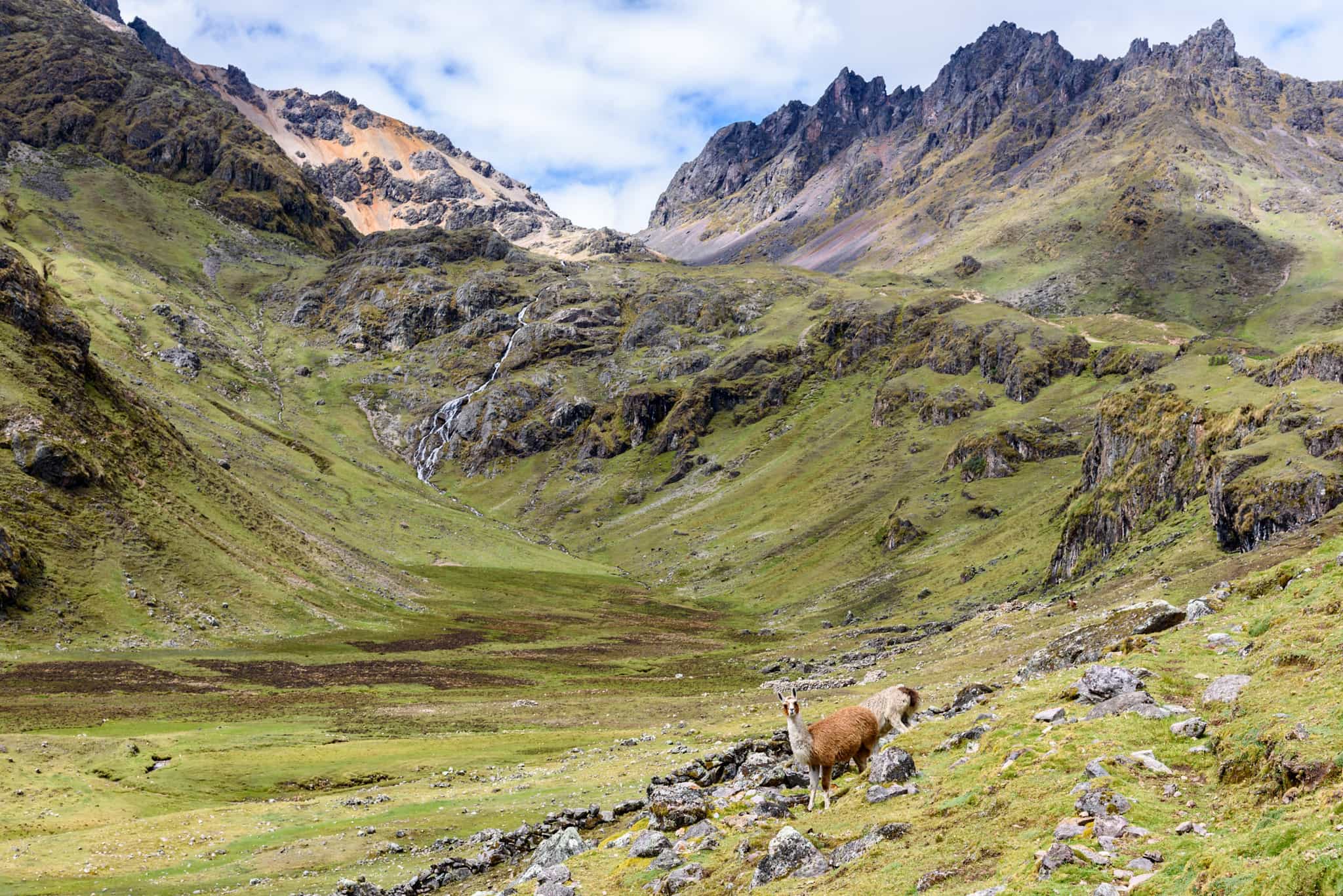 Scenic view of the Lares valley in Peru with llamas standing in front of a magnificent moutain backdrop