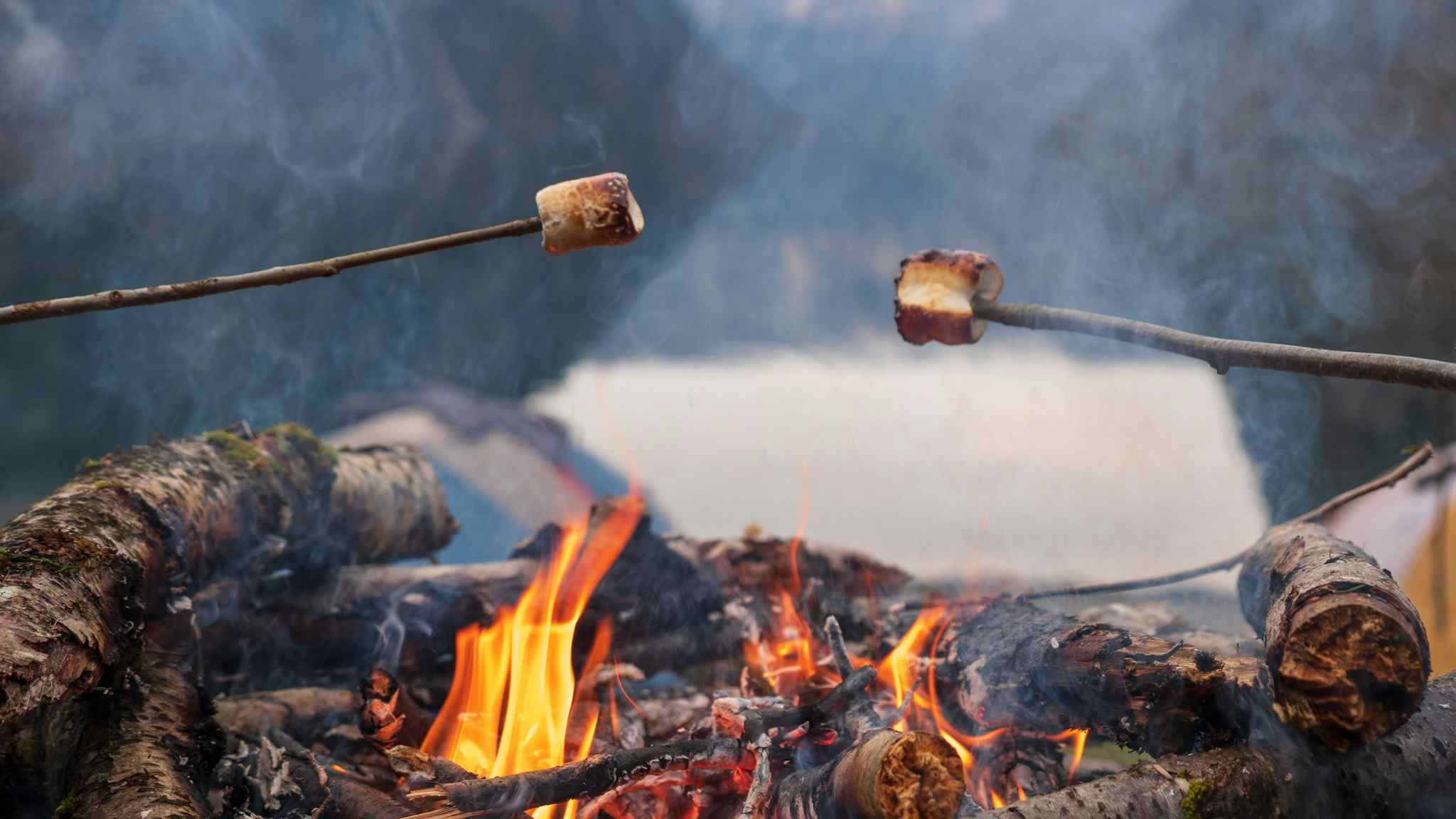 Toasting marshmallows over the campfire in the Norwegian Fjords. 