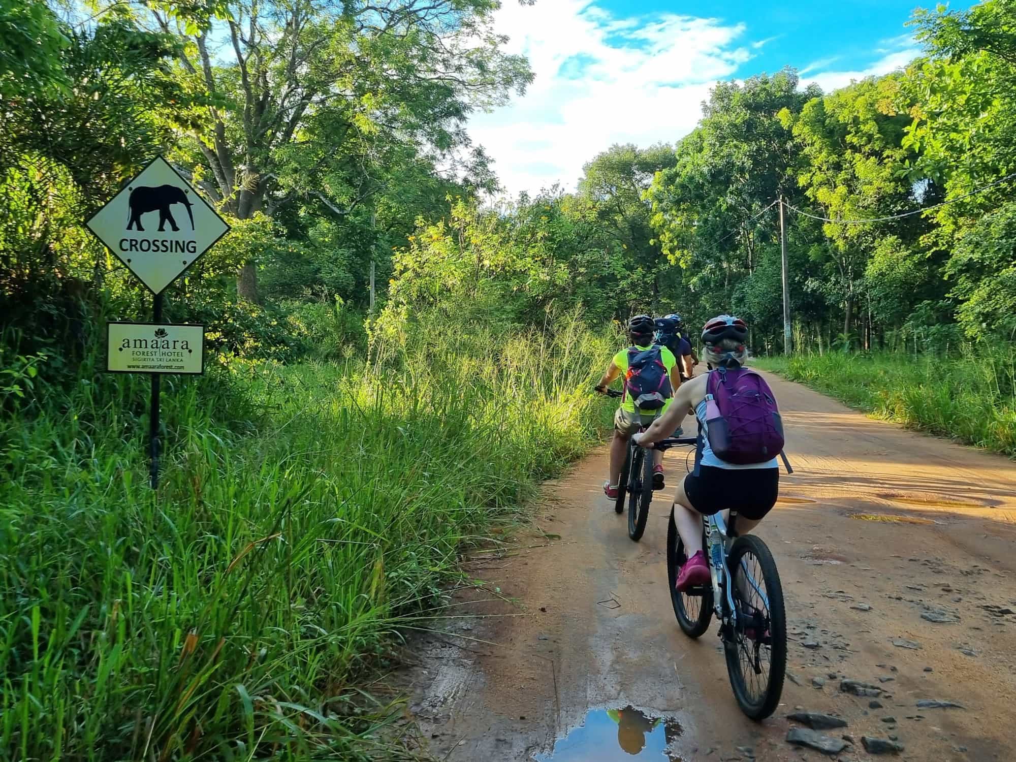 Cycling to Sigiriya in Sri Lanka by an 'Elephants crossing' road sign.