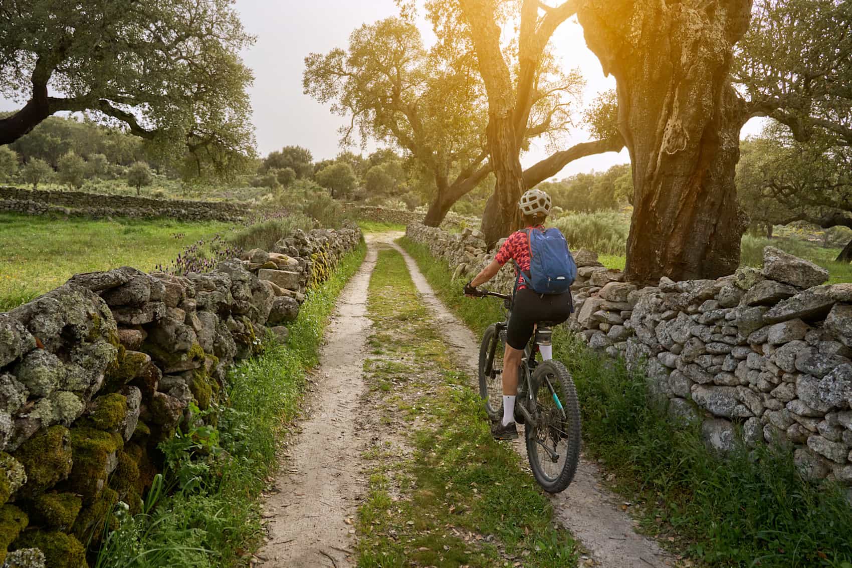 Cycling through Cork Forest, Portugal