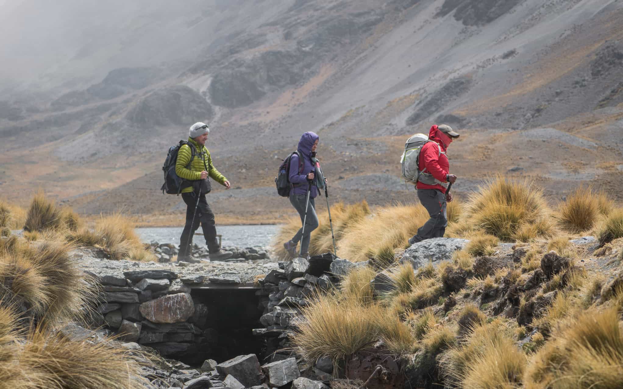 Wichu Khota, Cordillera Real, Bolivia