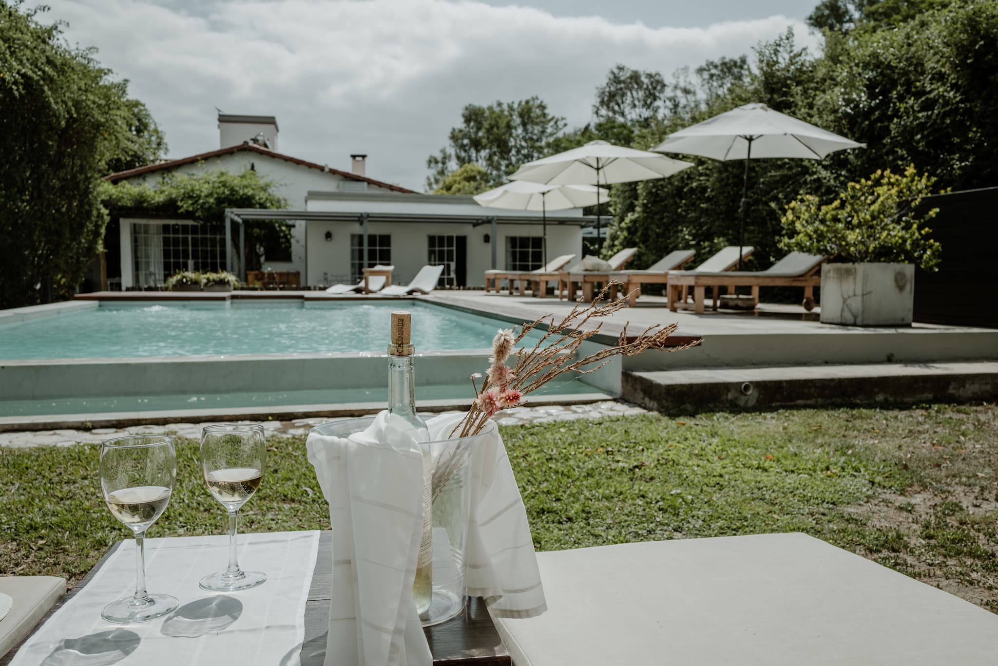 The pool at Finca Valentina, Salta, Argentina.