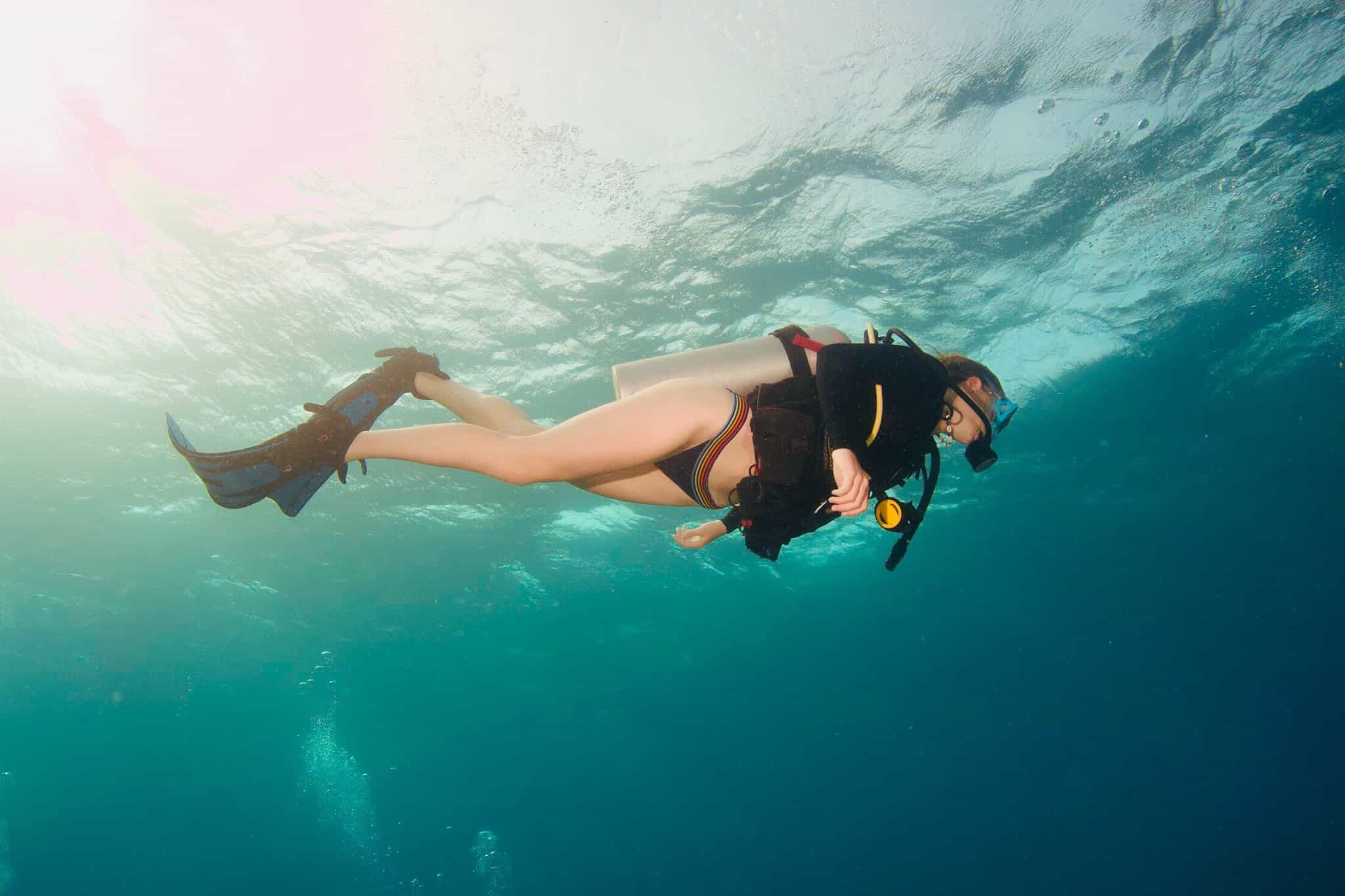 Dive the Belize Barrier Reef