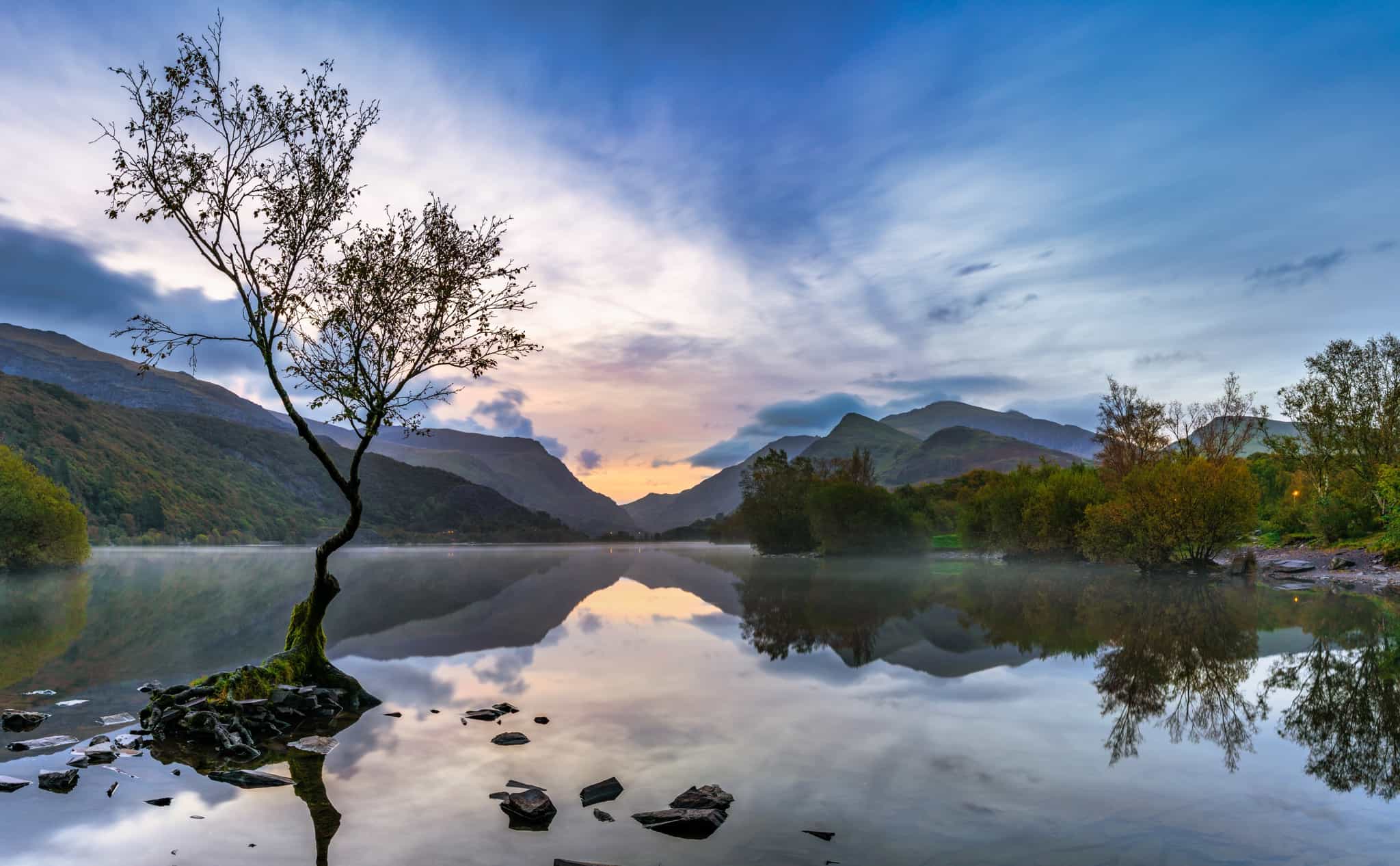 Lone tree on Llyn Padarn, Snowdonia (Eryri) in Wales.