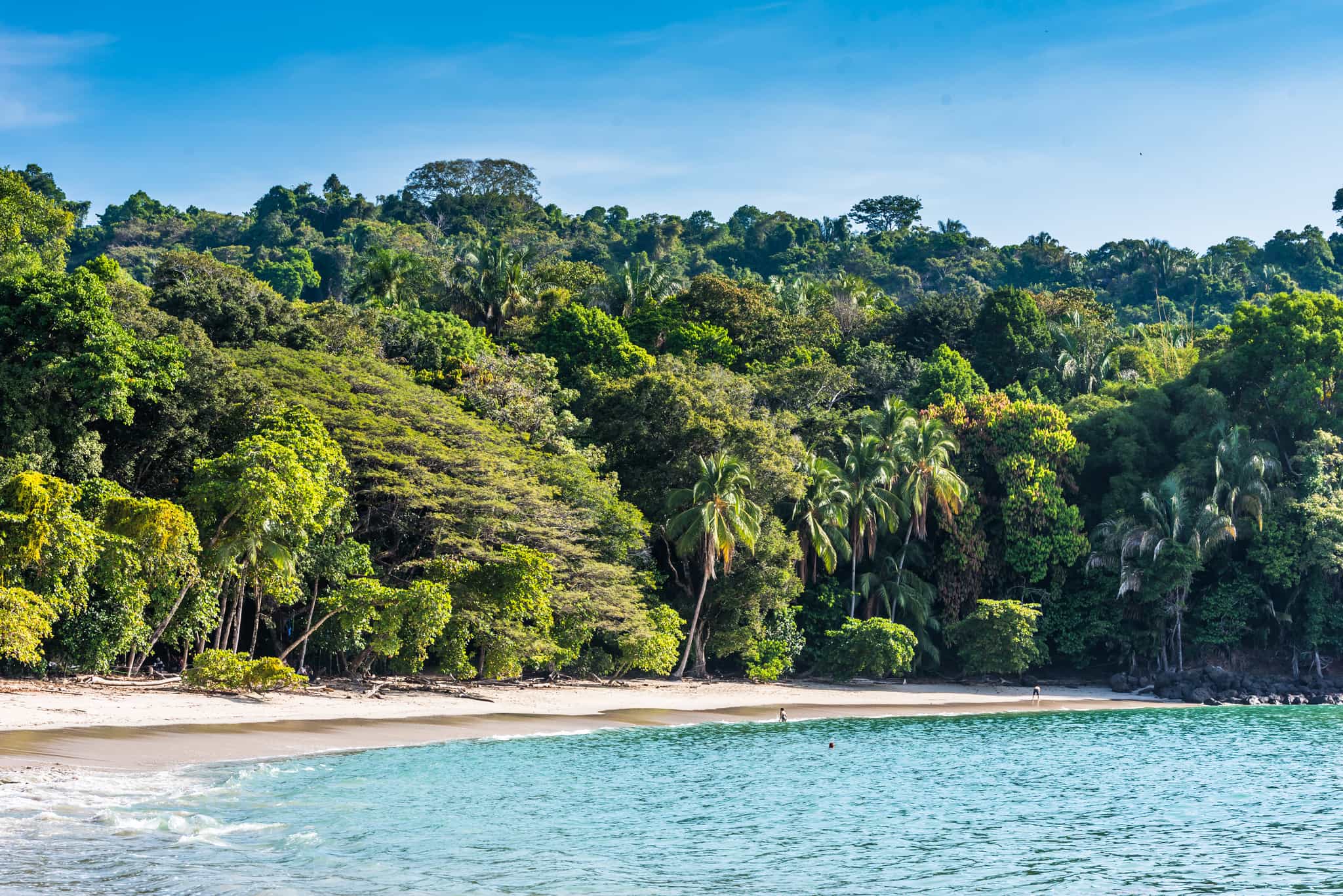 Manuel Antonio National Park, Costa Rica
GettyImages-639928590