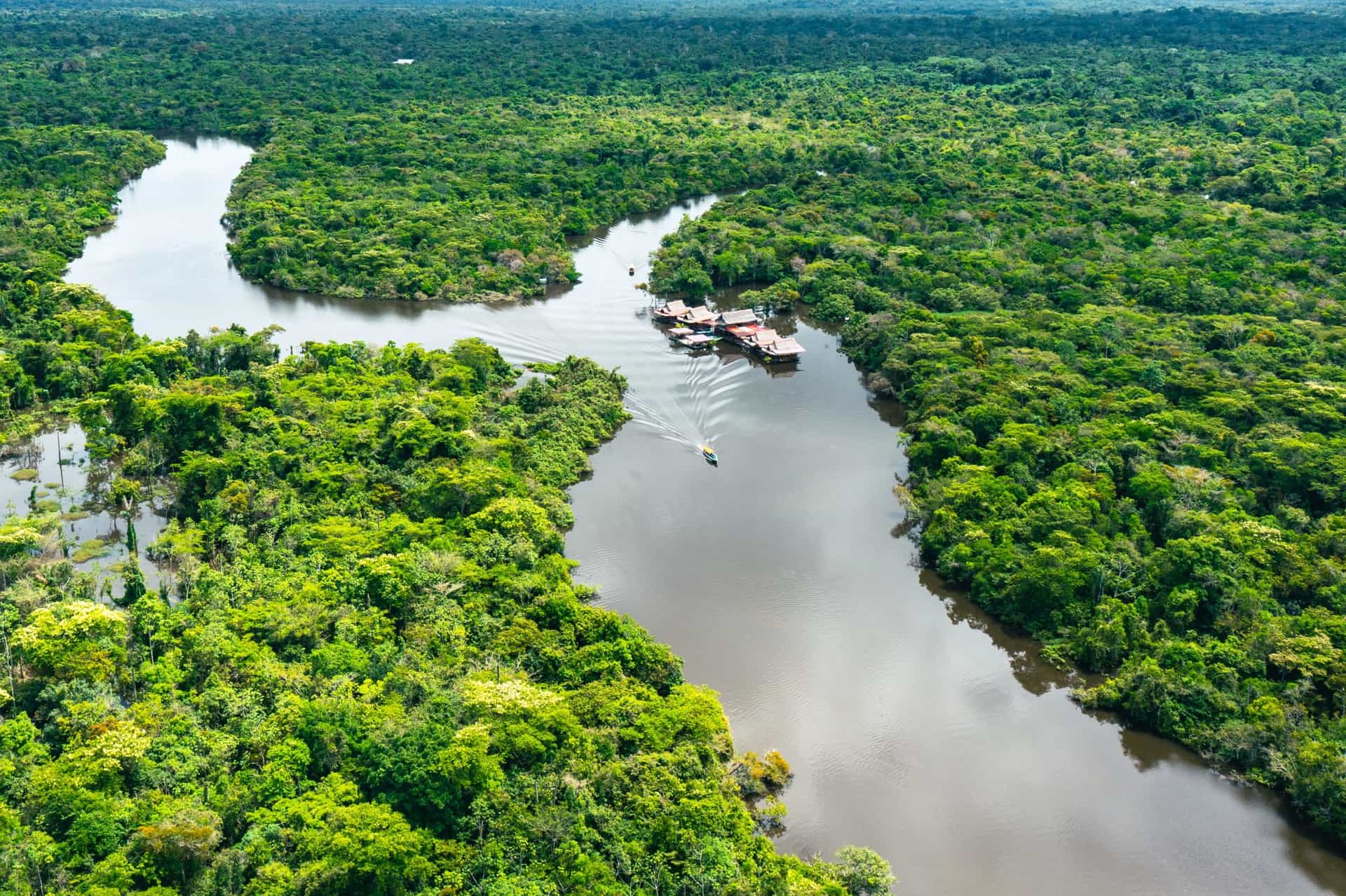 Jungle and Rainforest Adventures | Much Better Adventures