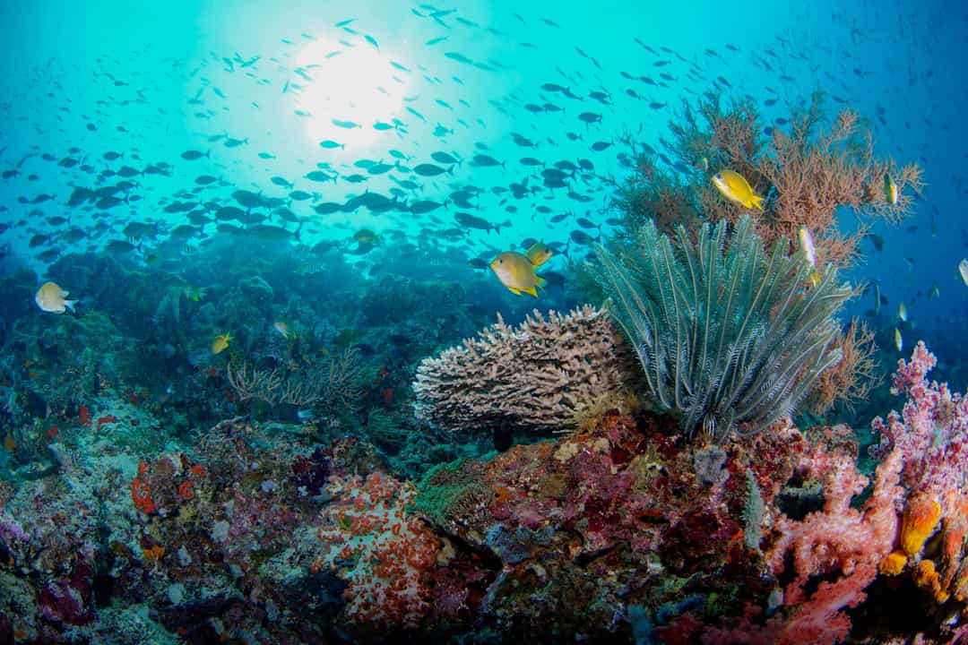 The Ultimate Adventure in Java and Bali | Much Better Adventures