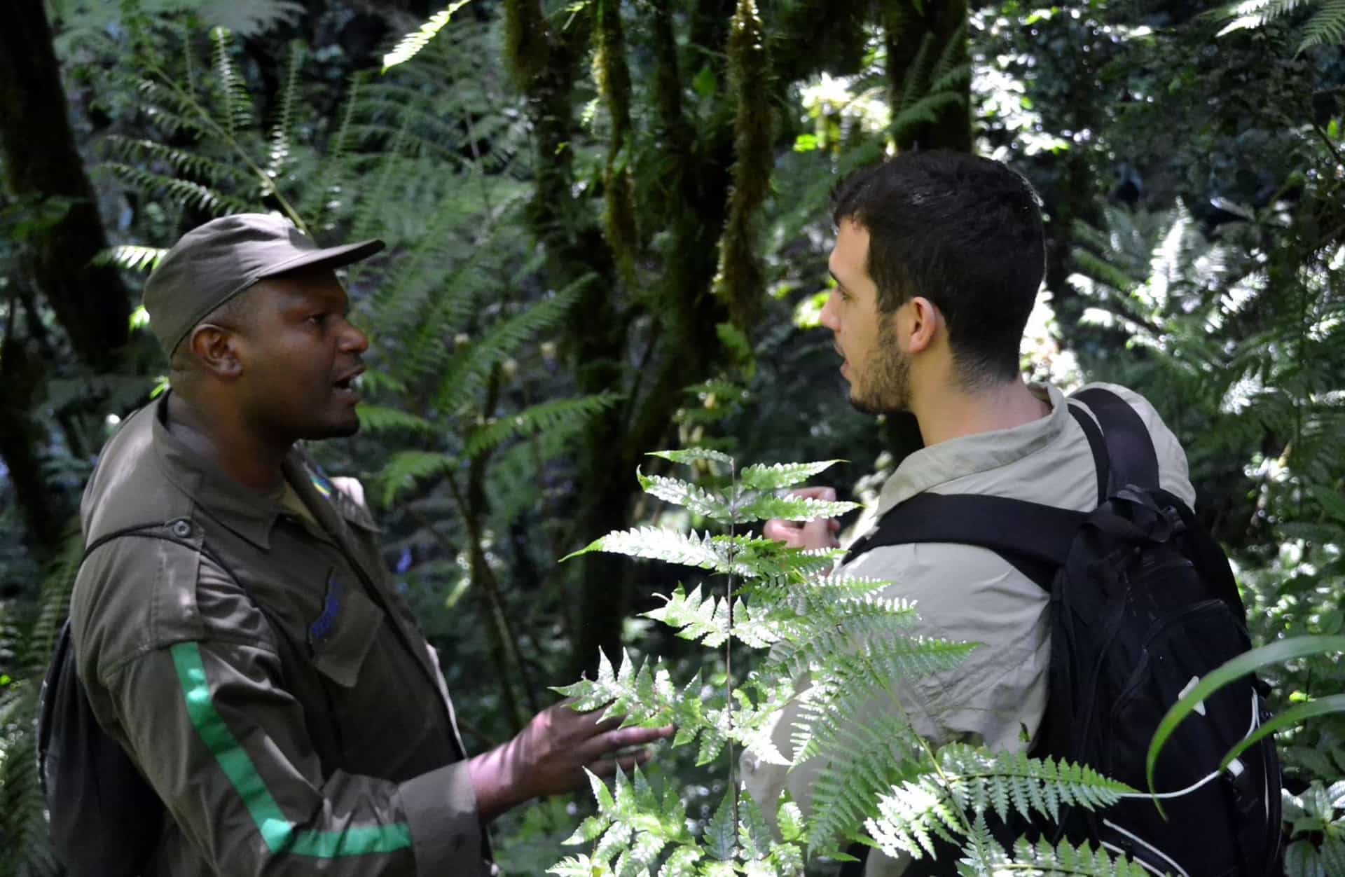 The Ultimate Adventure Through Rwanda | Much Better Adventures