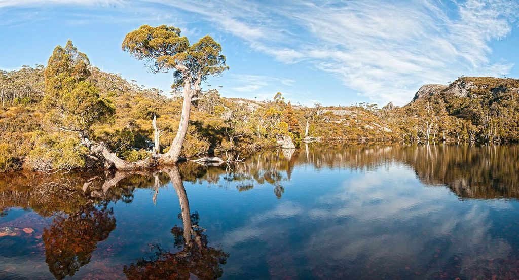 The lakes and forest of Tasmania
