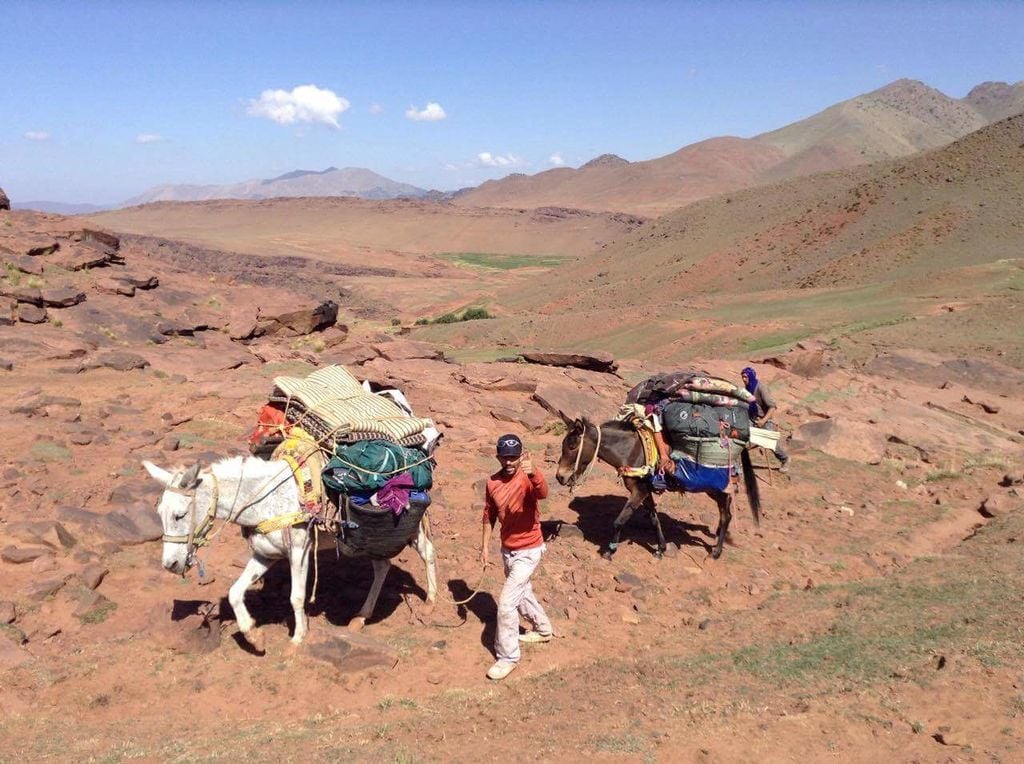 A Moroccan tour guide in the Atlas Mountains, with two packhorses.