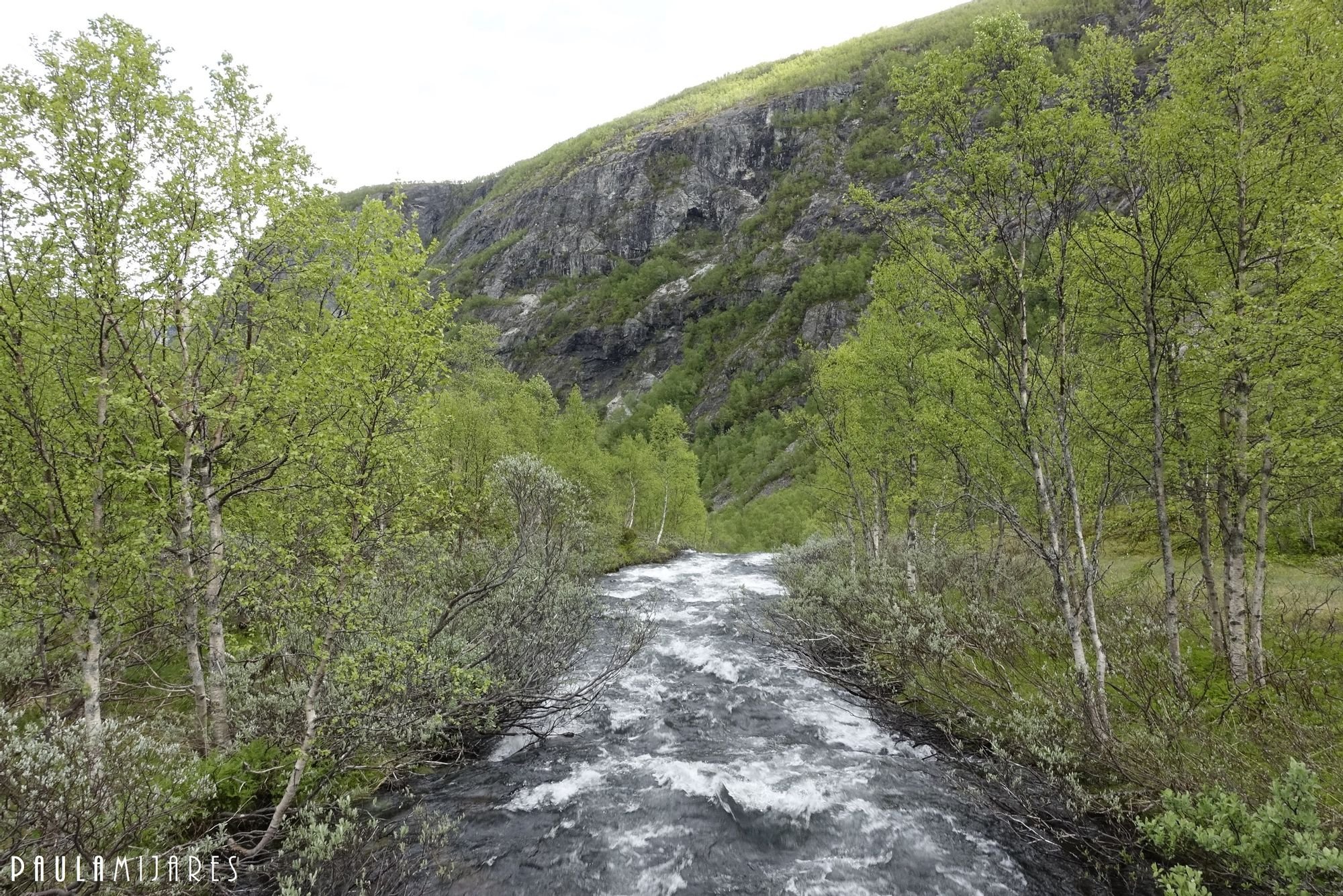 Glacier river, Breiskrednosi, Norway Glacier-river-Breiskrednosi-Norway