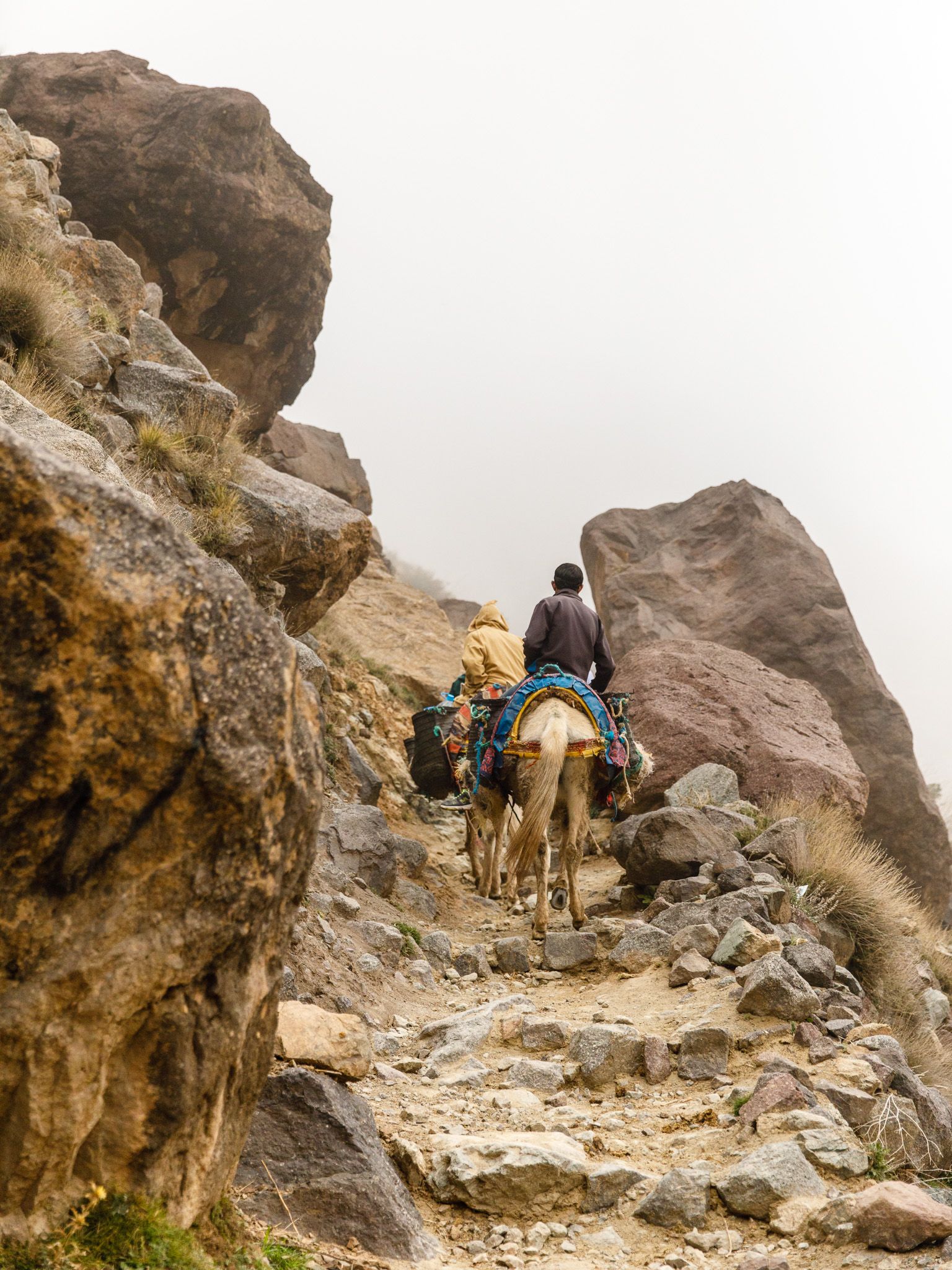Two men ride pack mules up a trail in the High Atlas Mountains of Morocco