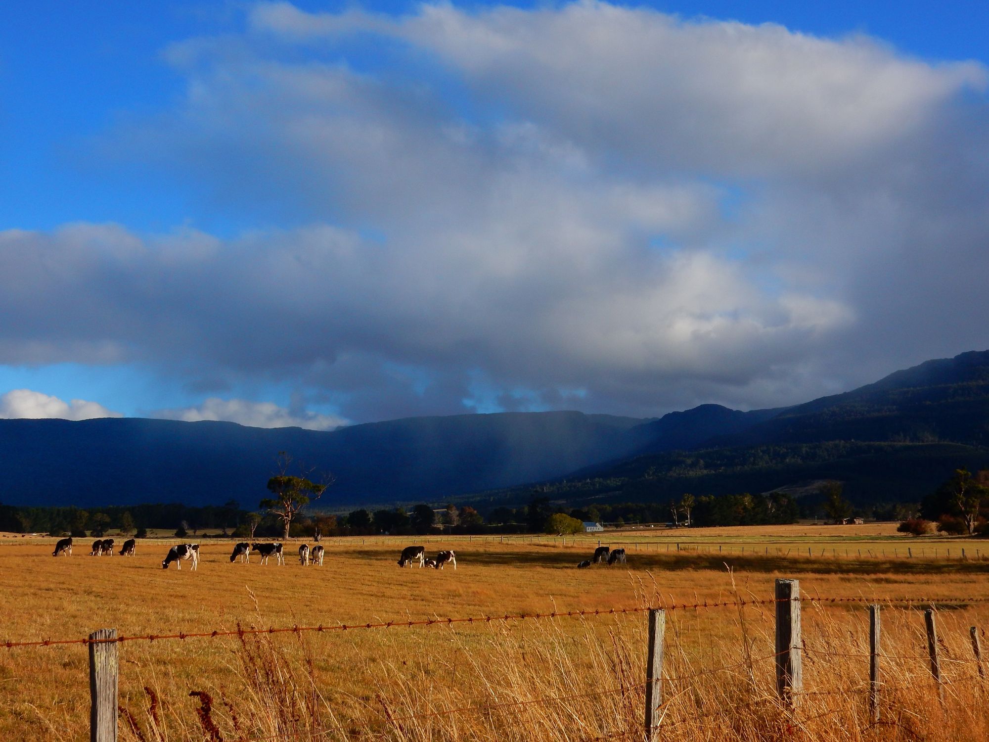 Farm-Tasmania