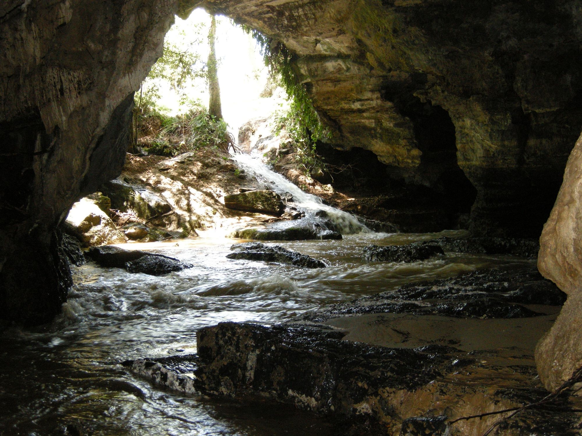 Mole-Creek-cave-Tasmania