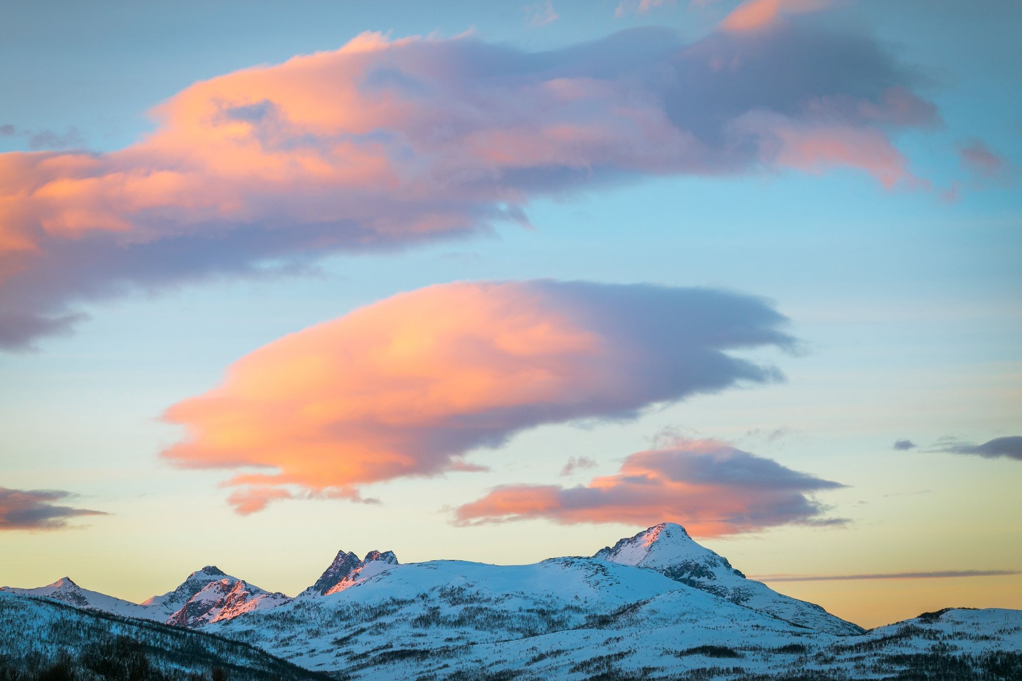 The snowy mountains of Tromso, tinted pink by the setting sun