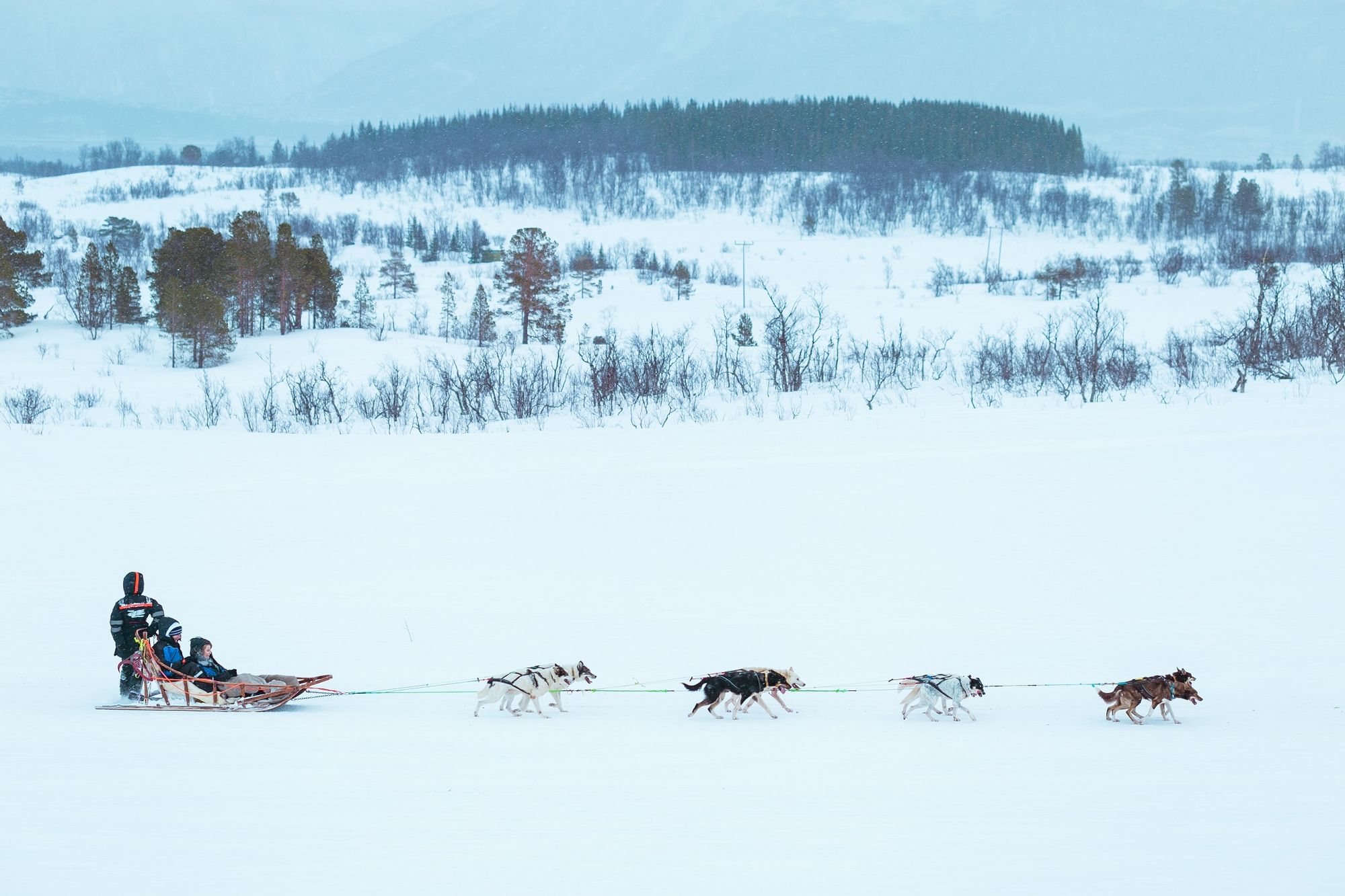 Huskies pull a dog sled across a snowy landscape