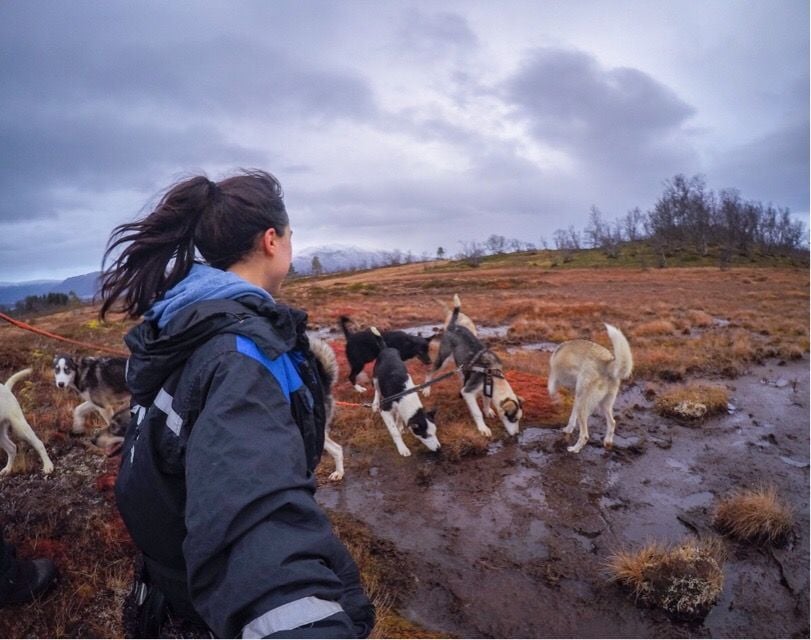 A woman takes a selfie in front of some sled dogs in Norway.