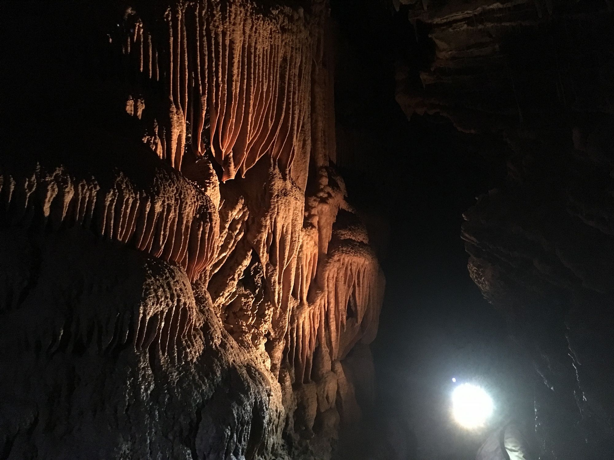 Mole-Creek-cave-Tasmania