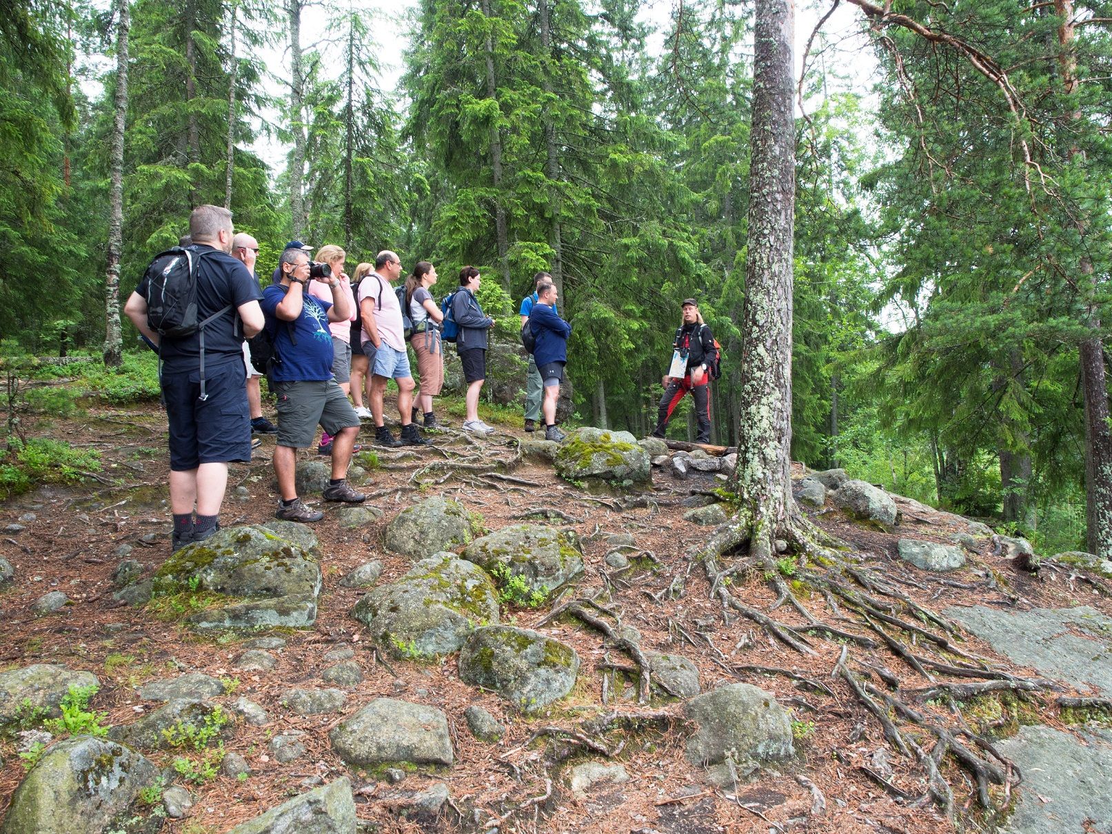 Hiking, Finland Hiking-Finland